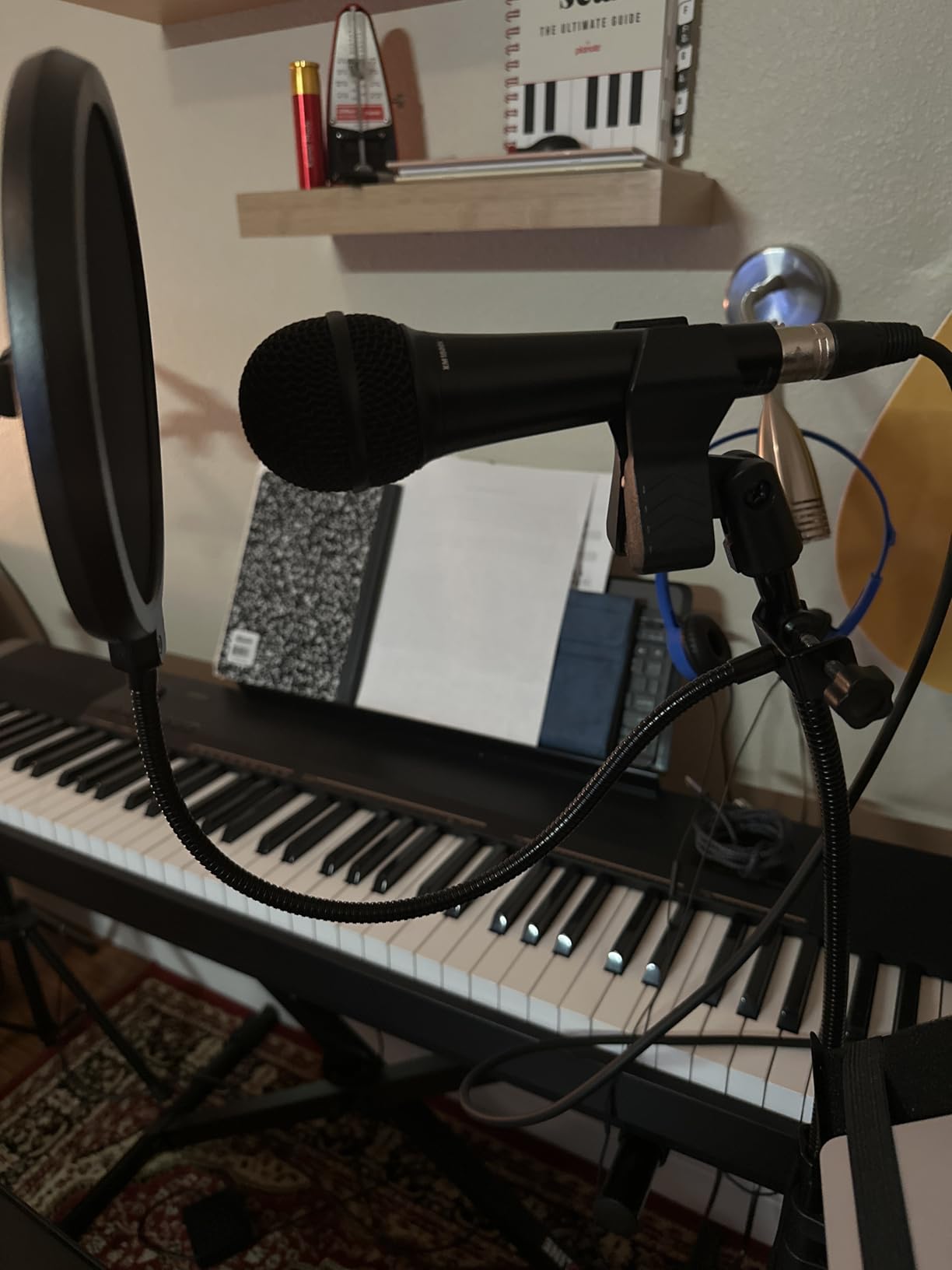 NEEWER Professional Microphone Pop Filter Shield customer photo 1
