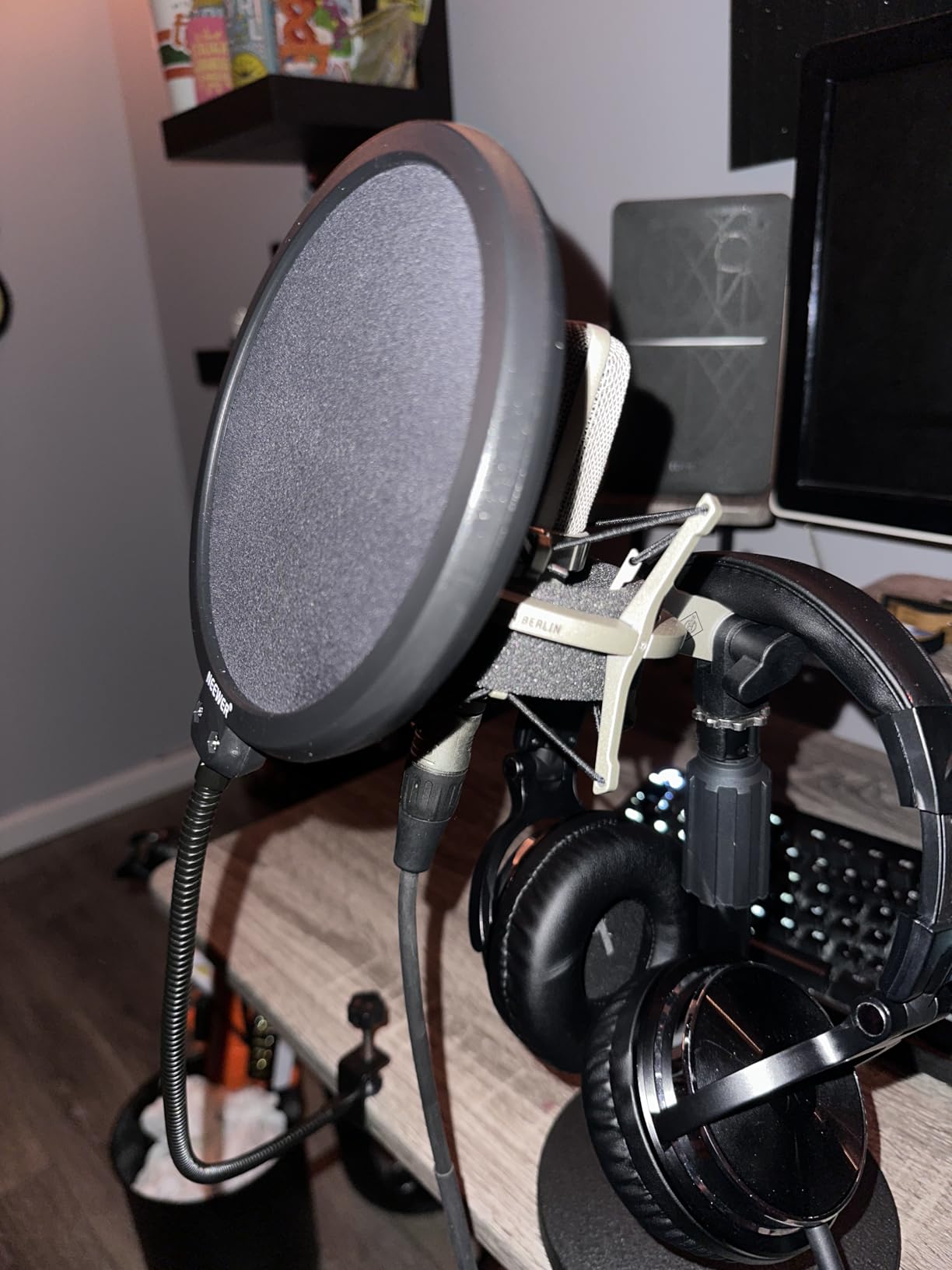 NEEWER Professional Microphone Pop Filter Shield customer photo 2