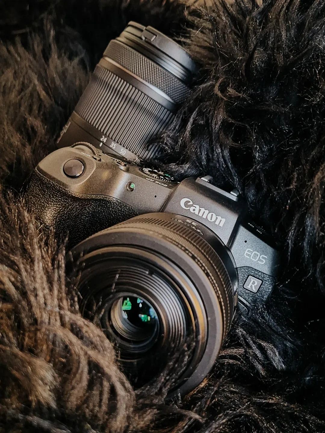 Canon EOS RP Mirrorless Camera RF24-105mm Lens F4-7.1 is STM Lens Kit customer photo 1
