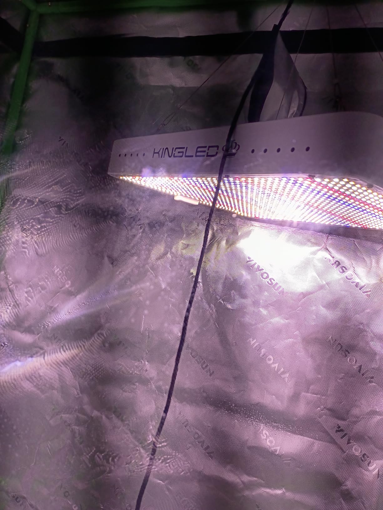 KingLED KP1000 Grow Light for Indoor Plants, Fits 2x2, 2x3 & 2x4 ft Tents customer photo 1