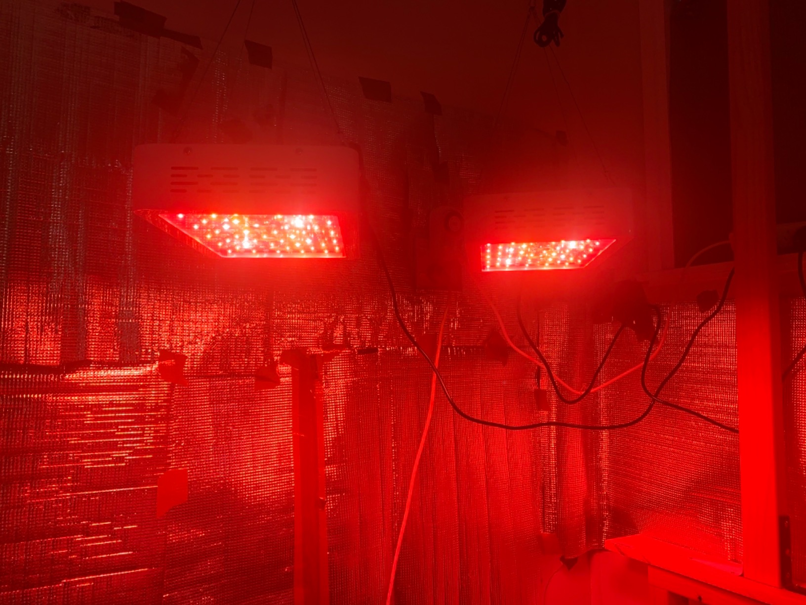 KingLED KP1000 Grow Light for Indoor Plants, Fits 2x2, 2x3 & 2x4 ft Tents customer photo 2
