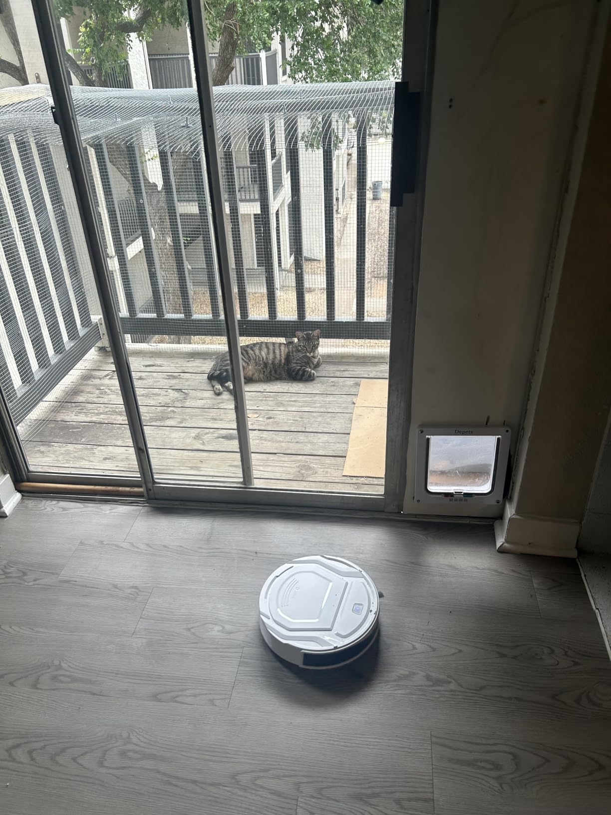 Lefant Robot Vacuum Cleaner, Strong Suction, 120 Mins Runtime, Slim, Low Noise, Automatic Self-Charging, Wi-Fi/App/Alexa Control, Ideal for Pet Hair Hard Floor and Daily Cleaning, M210 customer photo 1