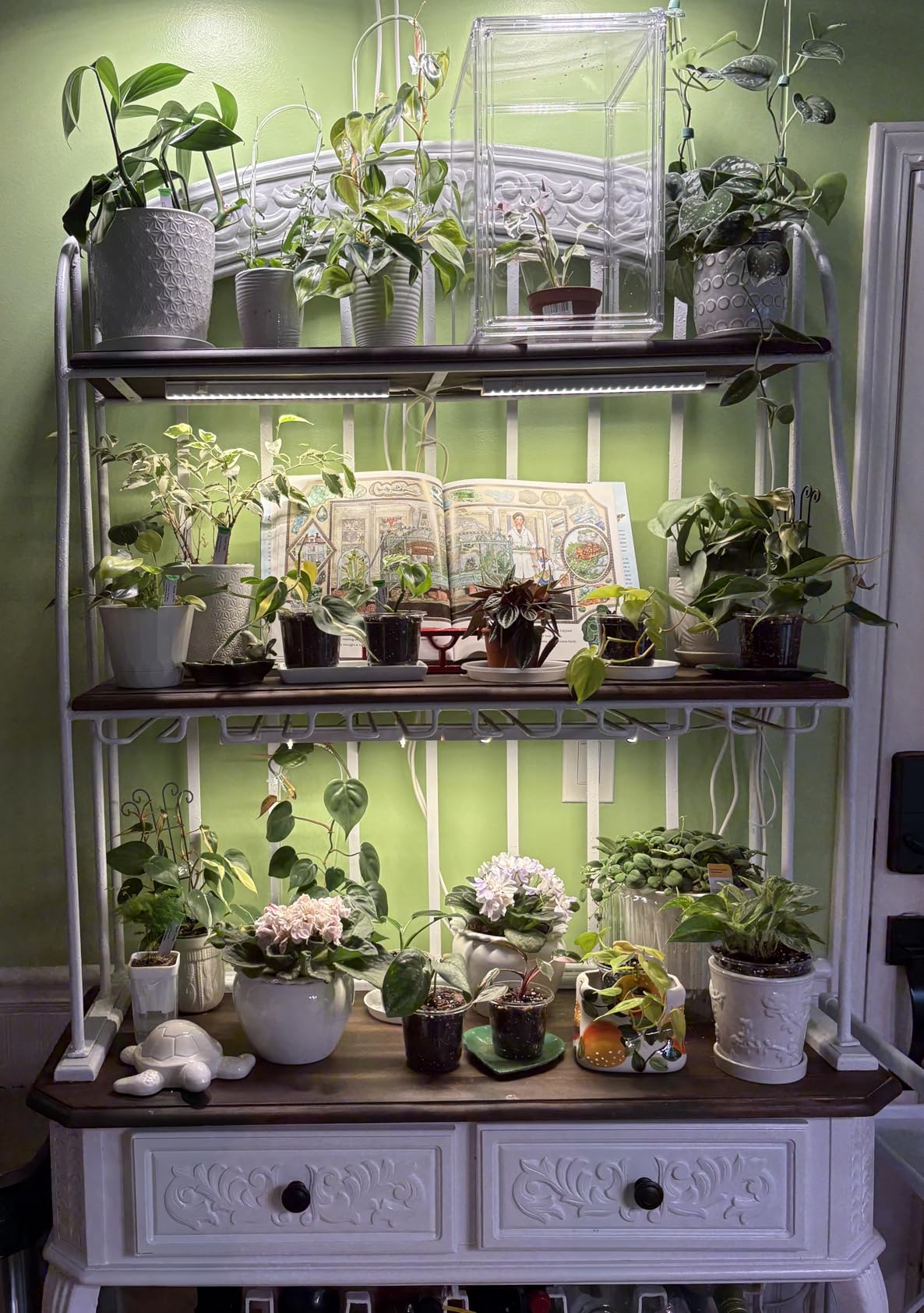 Barrina T5 Grow Lights for Indoor Plants, 5000K Full Spectrum, 1FT, 4 Packs customer photo 1