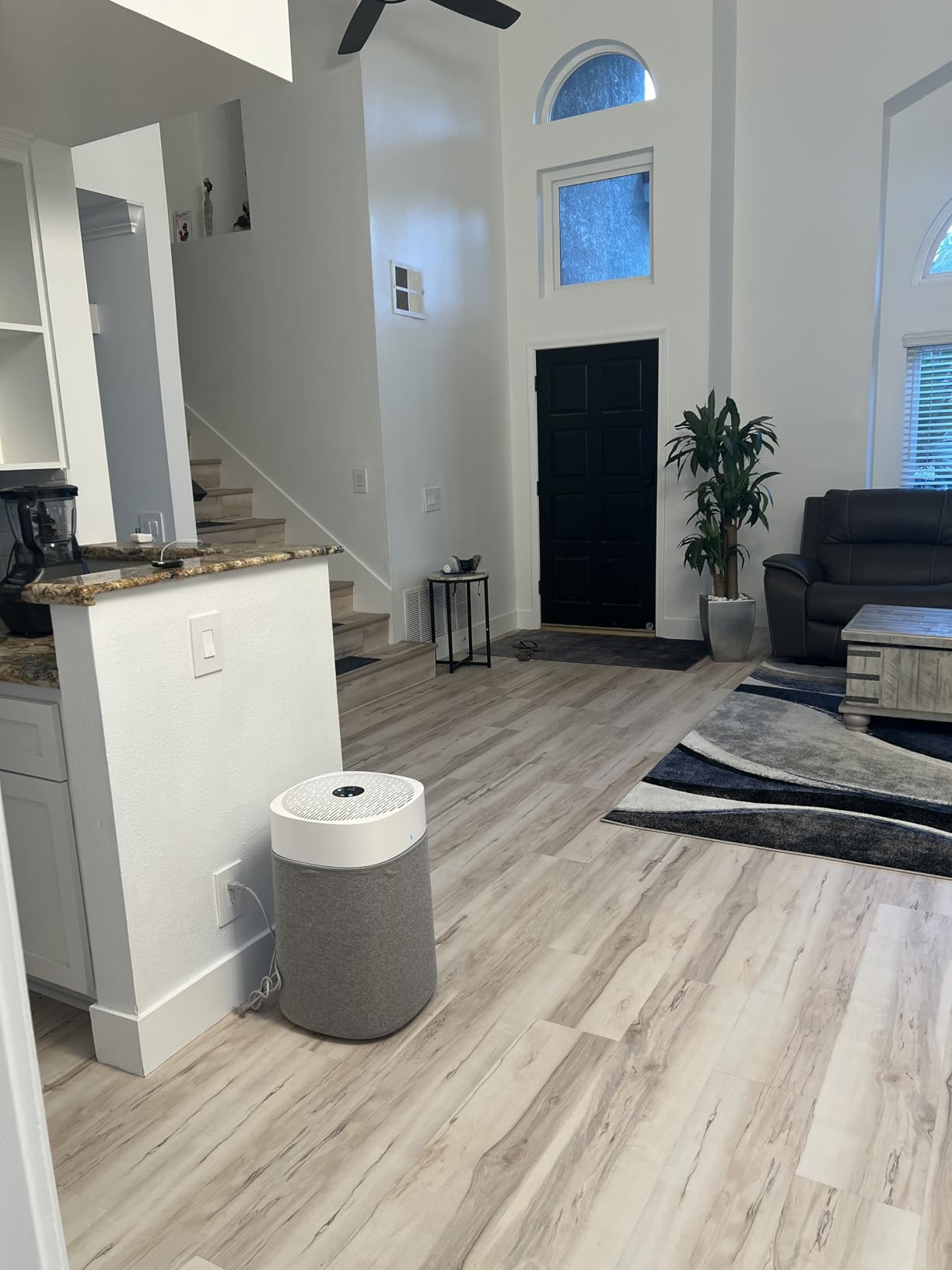 BLUEAIR Air Purifiers for Home Large Room up to 3,235 Ft², Blue 211i Max customer photo 1