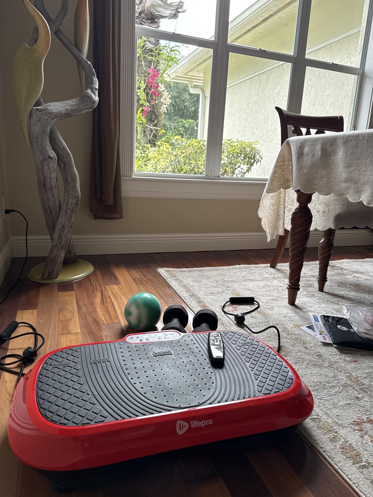 LifePro Waver Vibration Plate Exercise Machine - High-Intensity Vibration Plate for Lymphatic Drainage - Full-Body Workout Vibrating Platform with Loop Bands - Fitness Equipment for Strength & Toning customer photo 2