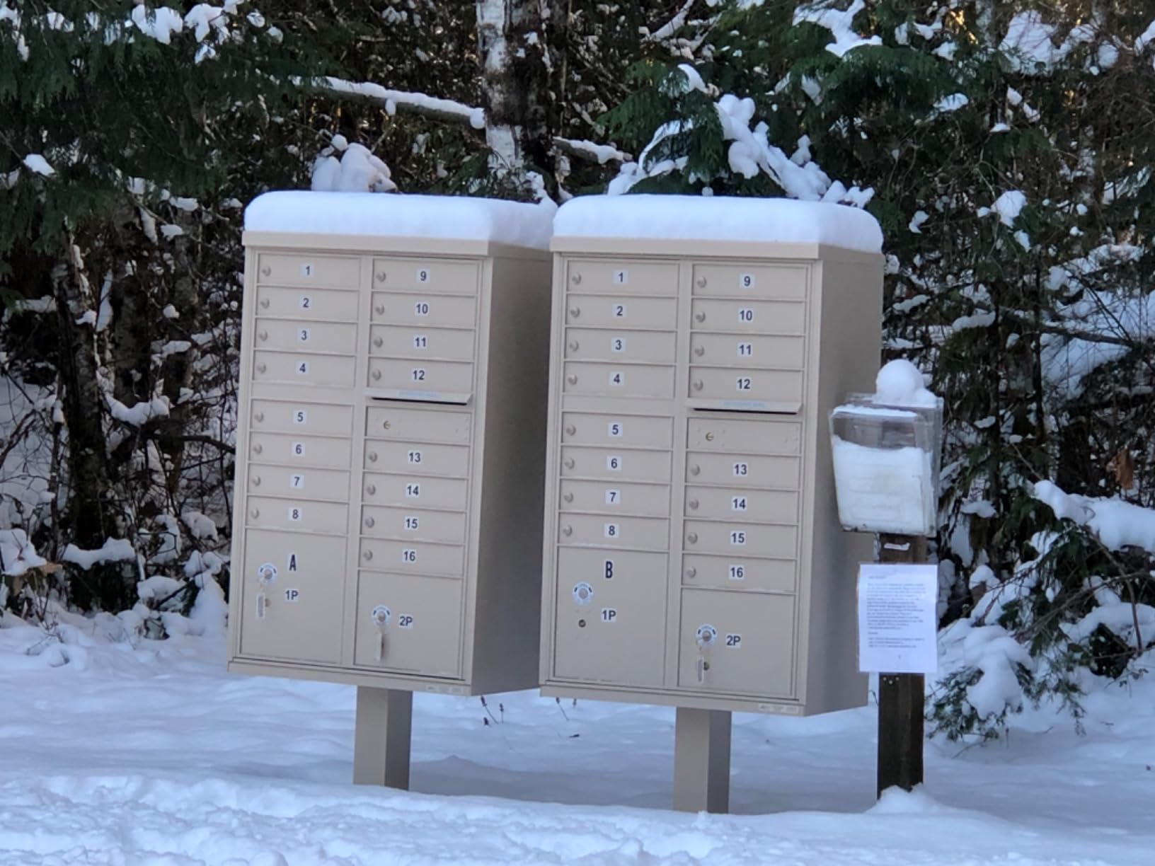 Salsbury Industries 3316SAN-U 16 A Size Doors, USPS Access Type III Cluster Box Unit, Sandstone customer photo 1