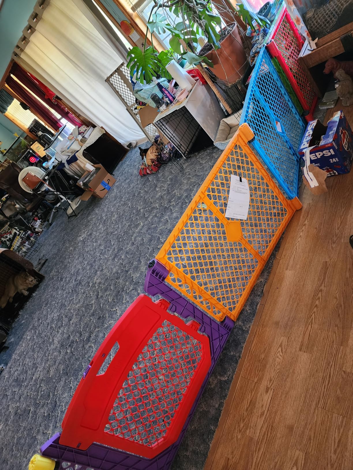 Toddleroo by North States - Superyard Colorplay Ultimate Play Yard: Freestanding 6 Panel Baby Playpen - Indoor/Outdoor Use - Made in USA - Encloses Up to 18.5 Square Feet - 26 Inches Tall customer photo 2