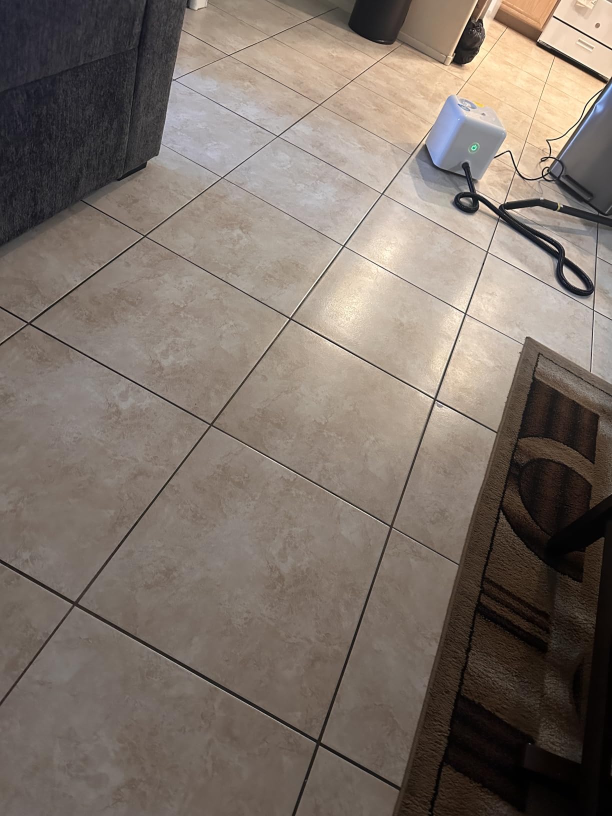 Dupray Neat Steam Cleaner with 17-Piece Kit - Powerful, Chemical-Free Cleaning for Floors, Cars, Tiles, Upholstery, Kitchen, Bathroom Grout, Carpets & More - Kills up to 99.9% of Bacteria & Viruses customer photo 2