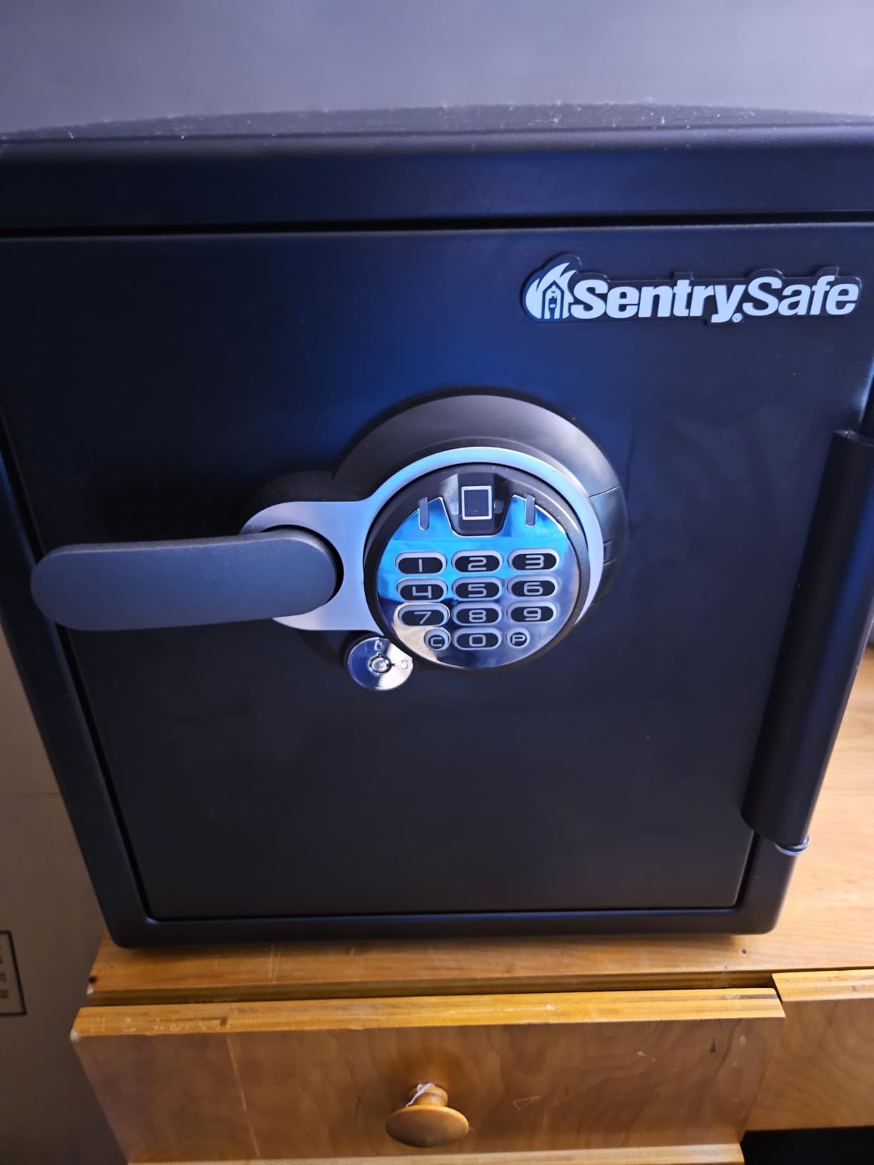Fireproof and Waterproof Home Safe with Biometric Fingerprint Lock, Keypad, and Key Lock, 1.23 Cubic Feet, SFW123BTC customer photo 2