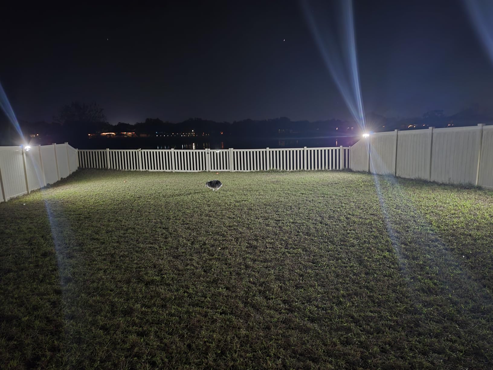LEPOWER 1600LM LED Solar Security Lights Motion Outdoor, Motion Sensor Light, 5500K White Light, IP65 Waterproof Outdoor Flood Solar Light with 3 Adjustable Head for Yard, Garage (White) customer photo 1