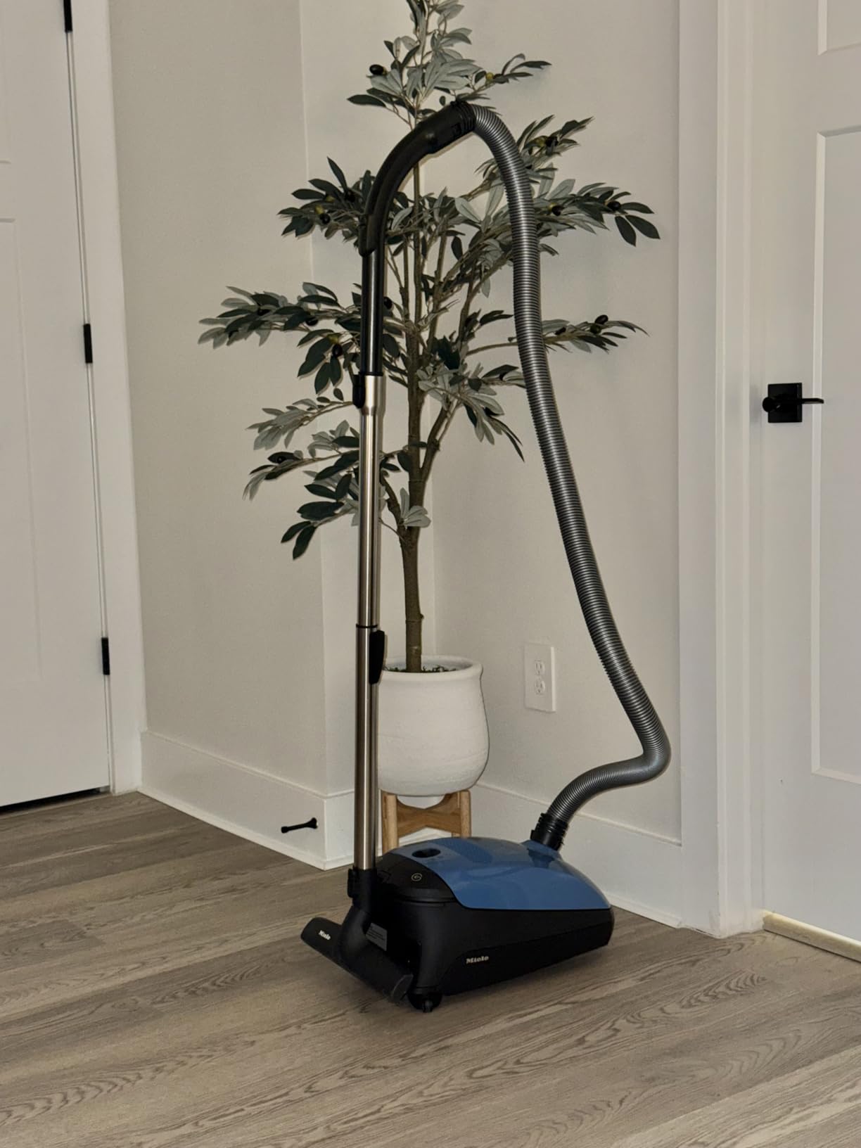 Miele Classic C1 Turbo Team Vacuum for Hard Floors & Low-Med Pile Carpet customer photo 2