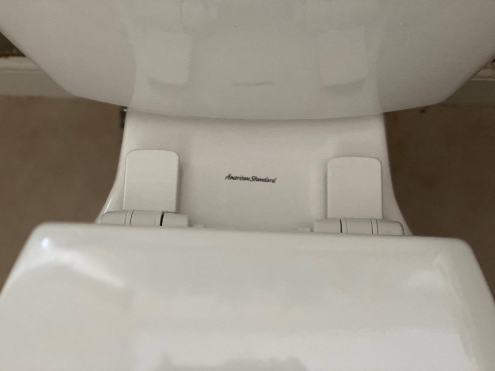 Mayfair NextStep2 Toilet Seat with Built-In Potty Training Seat, Slow-Close, Removable that will Never Loosen, Elongated, White customer photo 1