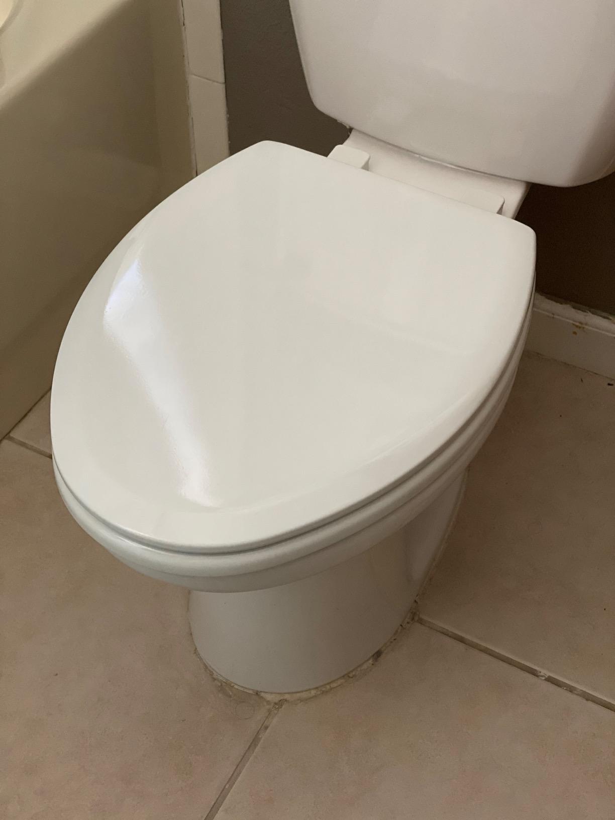 Mayfair NextStep2 Toilet Seat with Built-In Potty Training Seat, Slow-Close, Removable that will Never Loosen, Elongated, White customer photo 2