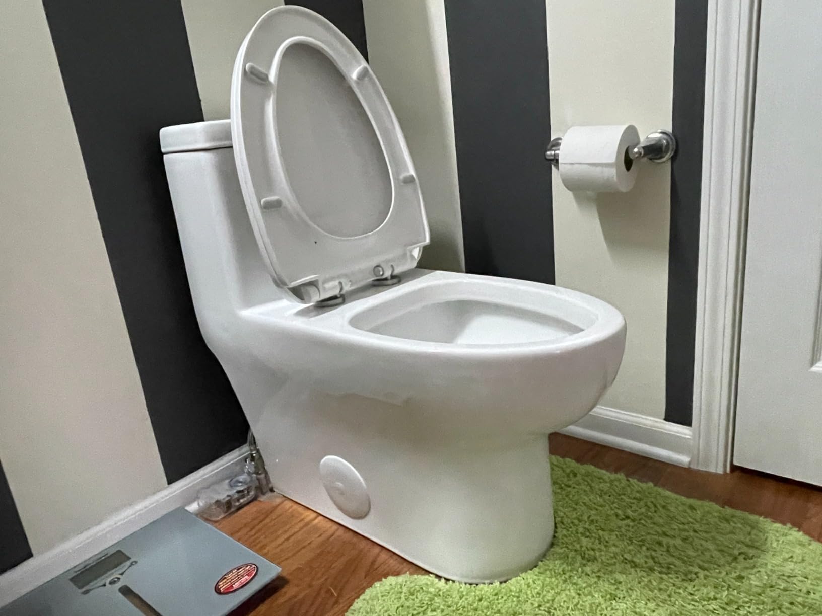 DeerValley Elongated One Piece Toilet with Efficient Dual Flush 1.1/1.6 GPF | Standard Height Toilet Bowl, Durable Ceramic, Slow Close Seat, Skirted Design 12