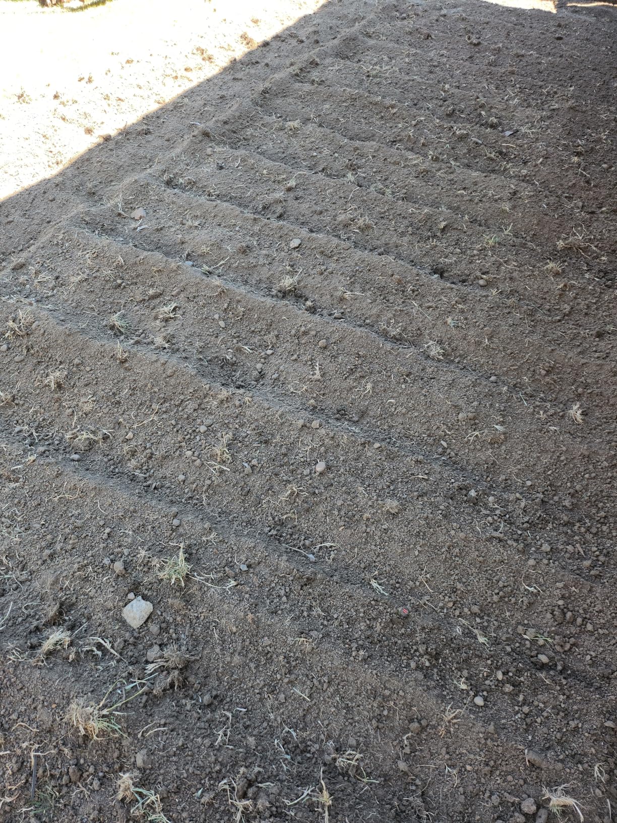 LawnMaster 13.5 Amp 18 Electric Tiller - TE1318M customer photo 1