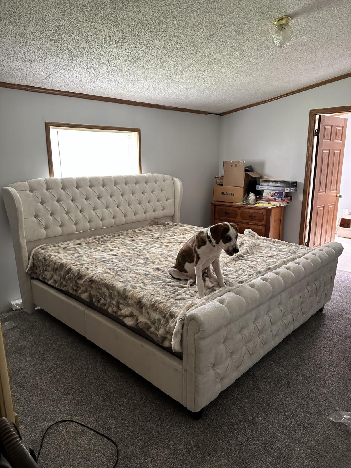 AMERLIFE Queen Size Platform Bed Frame, Chenille Upholstered Sleigh Bed with Scroll Wingback Headboard & Footboard, Button Tufted, Cream customer photo 2
