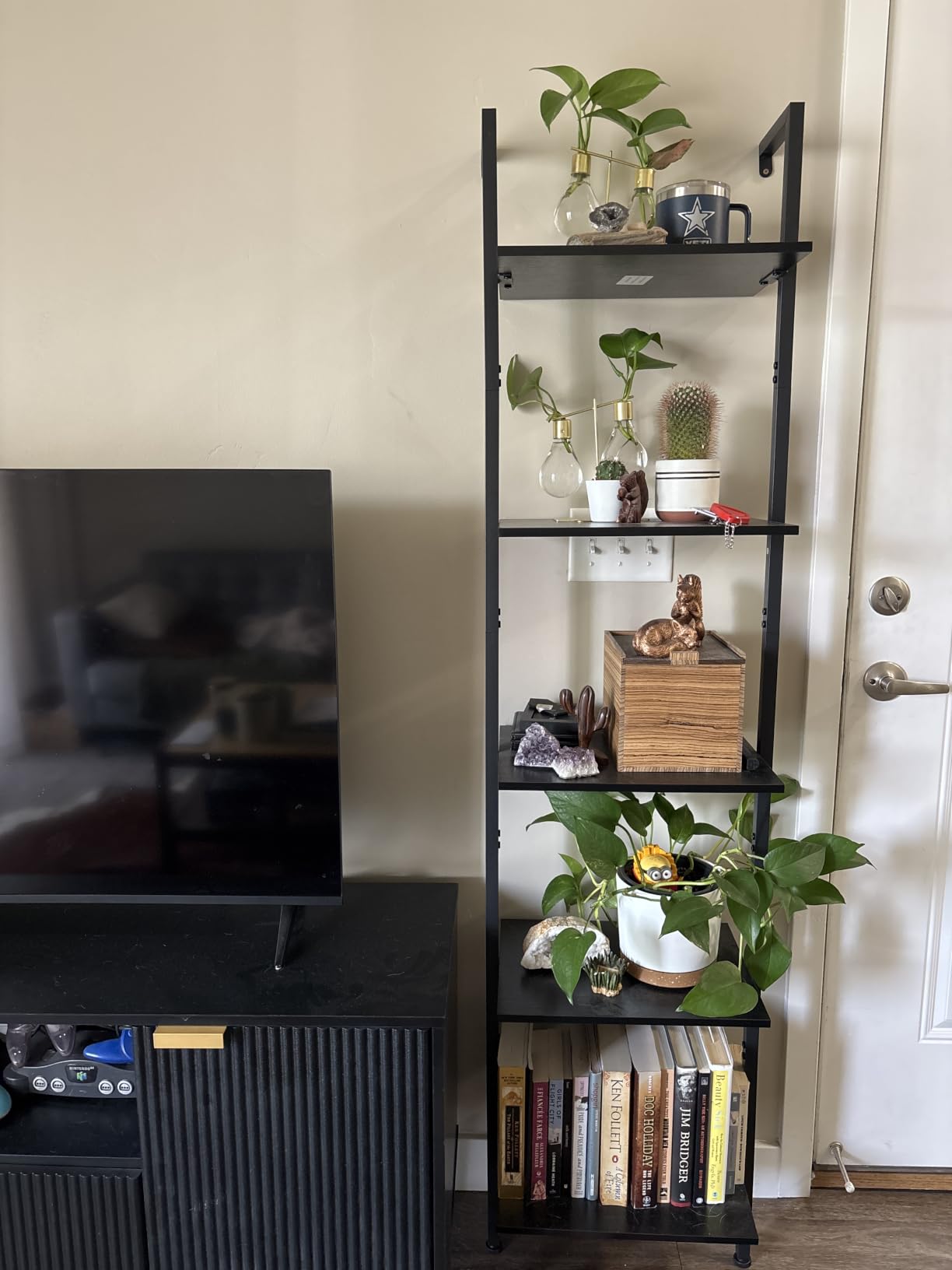 ELYKEN Ladder Shelf, 5-Tier Wood Wall Mounted Bookshelf with Metal Frame, Vintage Open Display Organizer Rack, Leaning Storage Shelves for Living Room, Bedroom, Home Office, Black customer photo 1
