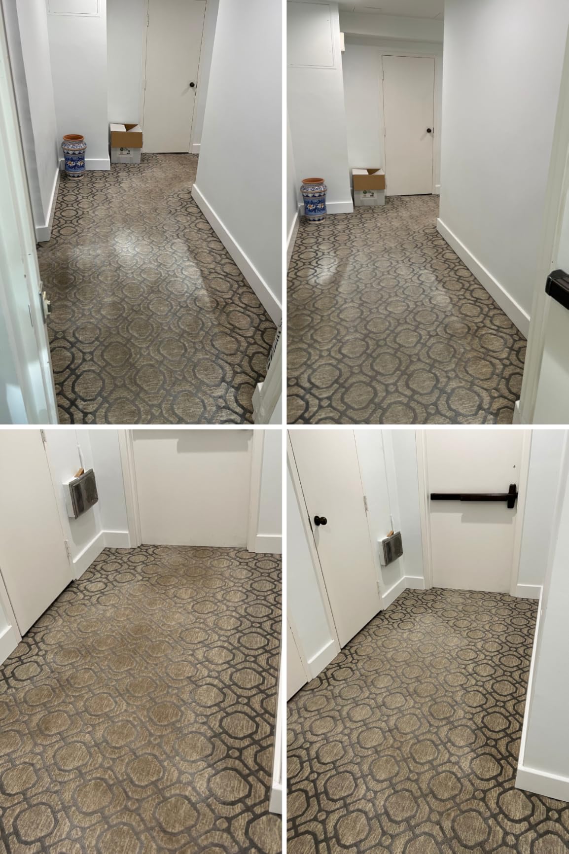 Shark CarpetXpert StainStriker Carpet, Rug, Upholstery Cleaner, EX201 customer photo 1