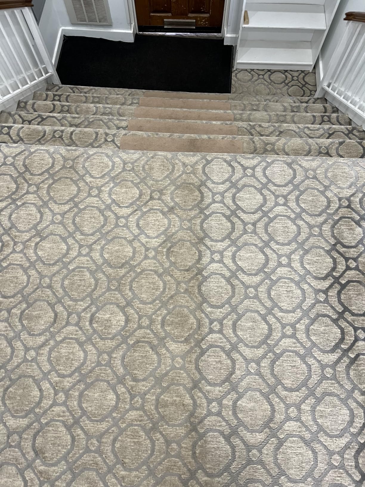 Shark CarpetXpert StainStriker Carpet, Rug, Upholstery Cleaner, EX201 customer photo 2