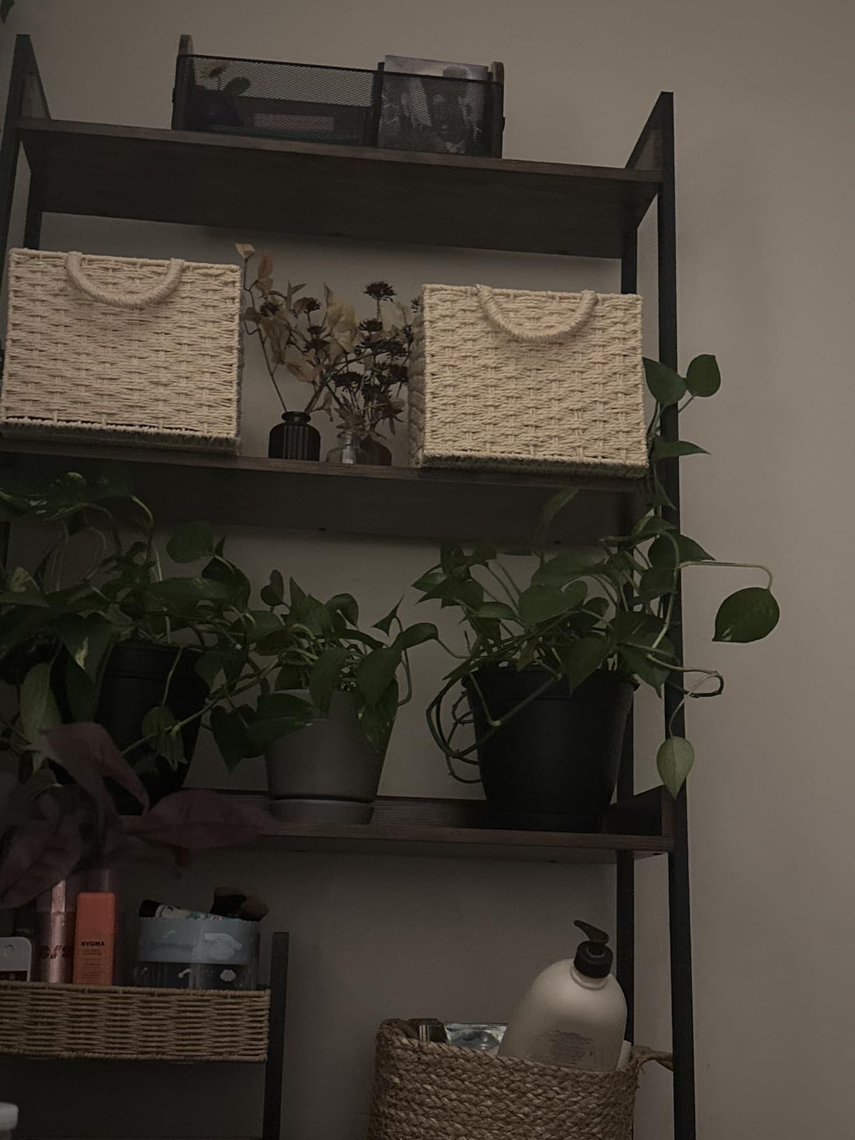 IRONCK Ladder Shelf 5-Tier 74.8in Tall, Industrial Bookcase and Bookshelf, MDF and Metal Frame, Wall Mount, Anti-tip Device customer photo 1