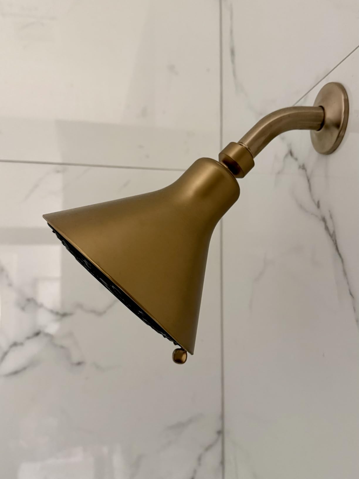 Canopy Filtered Shower Head - High Pressure Shower Head Filter for Hard Water - Supports Hair Growth & Minimizes Breakage - Chrome customer photo 1