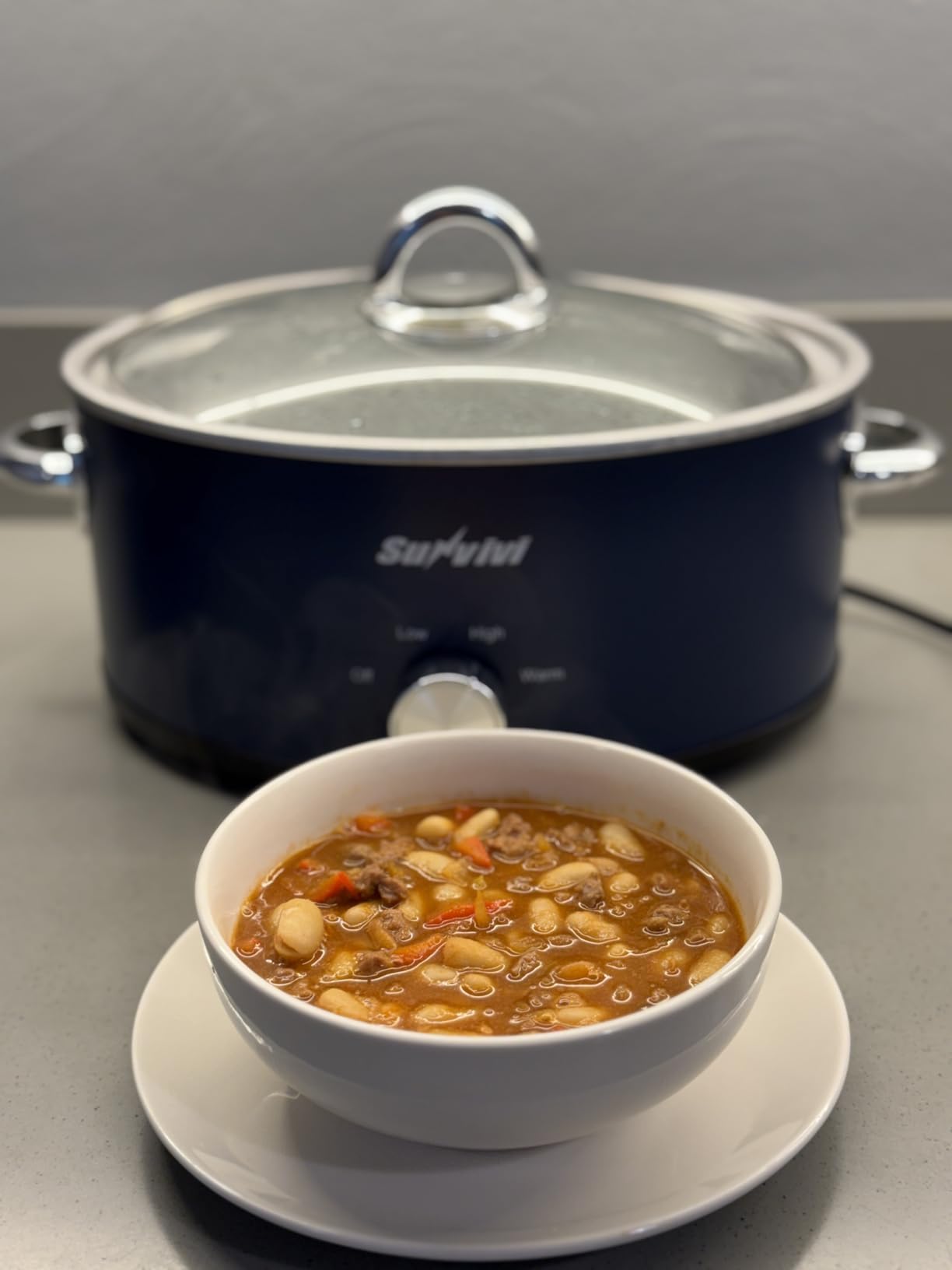 Sunvivi 4QT Programmable Slow Cooker with Locking Lid, Removable Ceramic Pot, 3 Heating Settings & Timer, Dishwasher-Safe, Stainless Steel customer photo 1