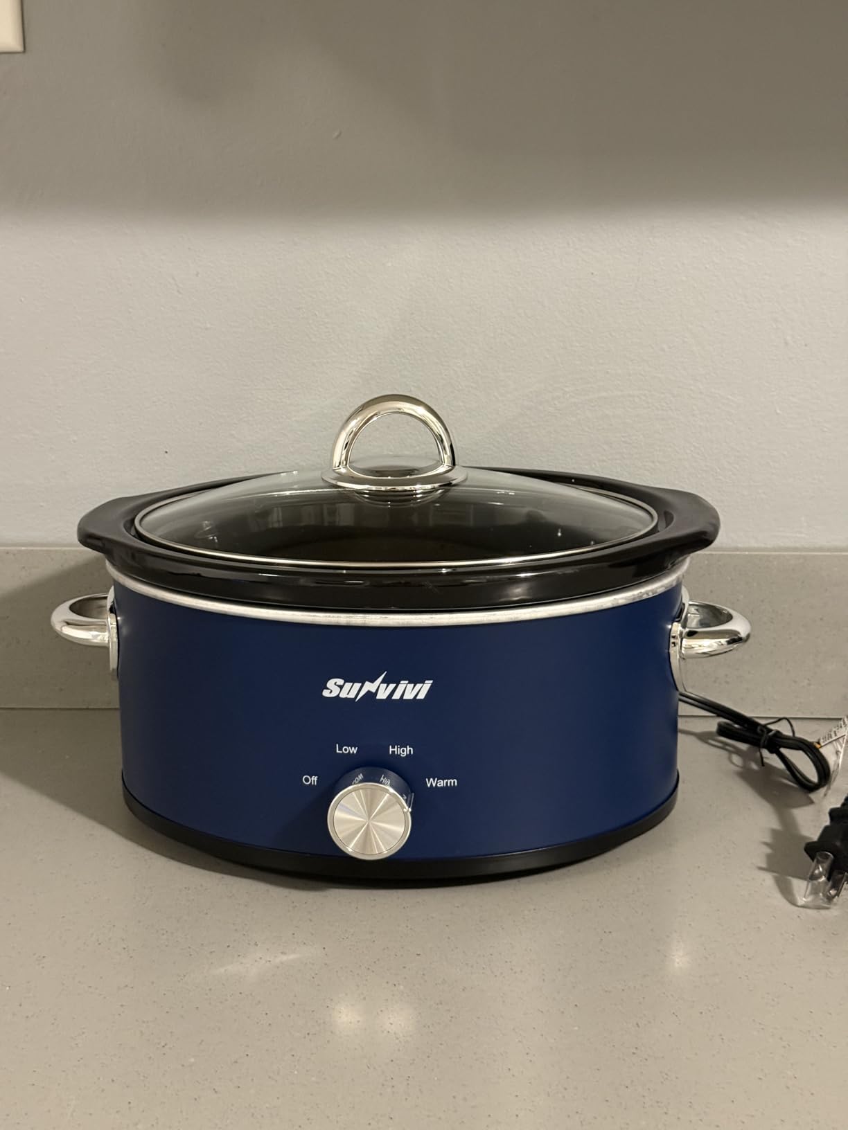 Sunvivi 4QT Programmable Slow Cooker with Locking Lid, Removable Ceramic Pot, 3 Heating Settings & Timer, Dishwasher-Safe, Stainless Steel customer photo 2