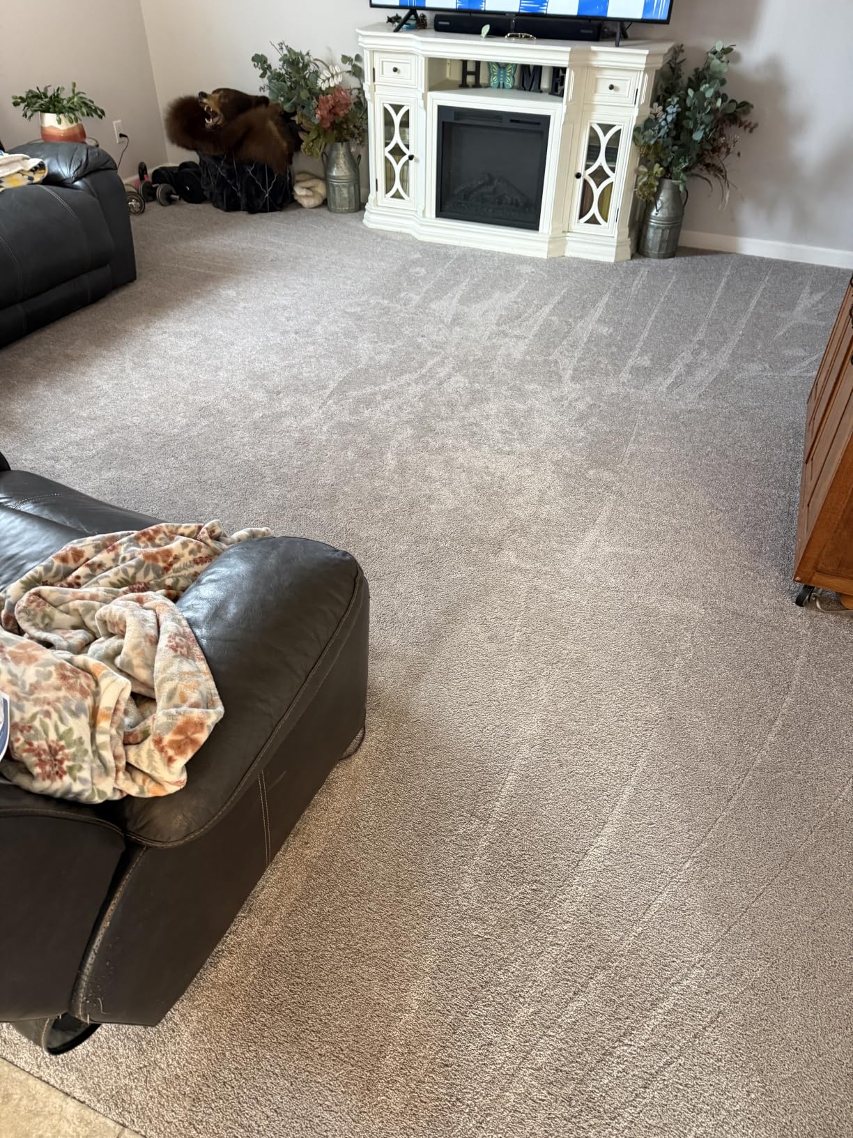 BISSELL TurboClean, Upright Carpet Cleaner, Pro Max Clean & Protect + Oxy Urine Eliminator Formula Included, 3952 customer photo 1