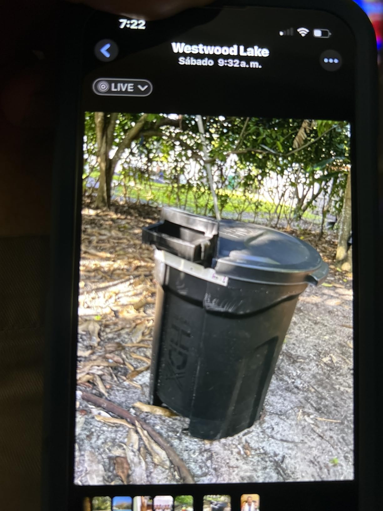 GreenSweep XL Bladeless Leaf Shredder & Mulcher | Powerful 15 Amp, 9,000RPM Motor for 18:1 Reduction Ratio customer photo 2