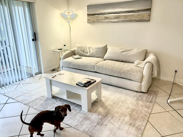 Area Rugs 8x10 Living Room: Washable Rug Modern Abstract Large Rugs Soft Non Slip Neutral Rug Stain Resistant Indoor Carpet for Bedroom Kitchen Dining Room Table Nursery Home Office Rugs(Beige,8'x10') customer photo 2