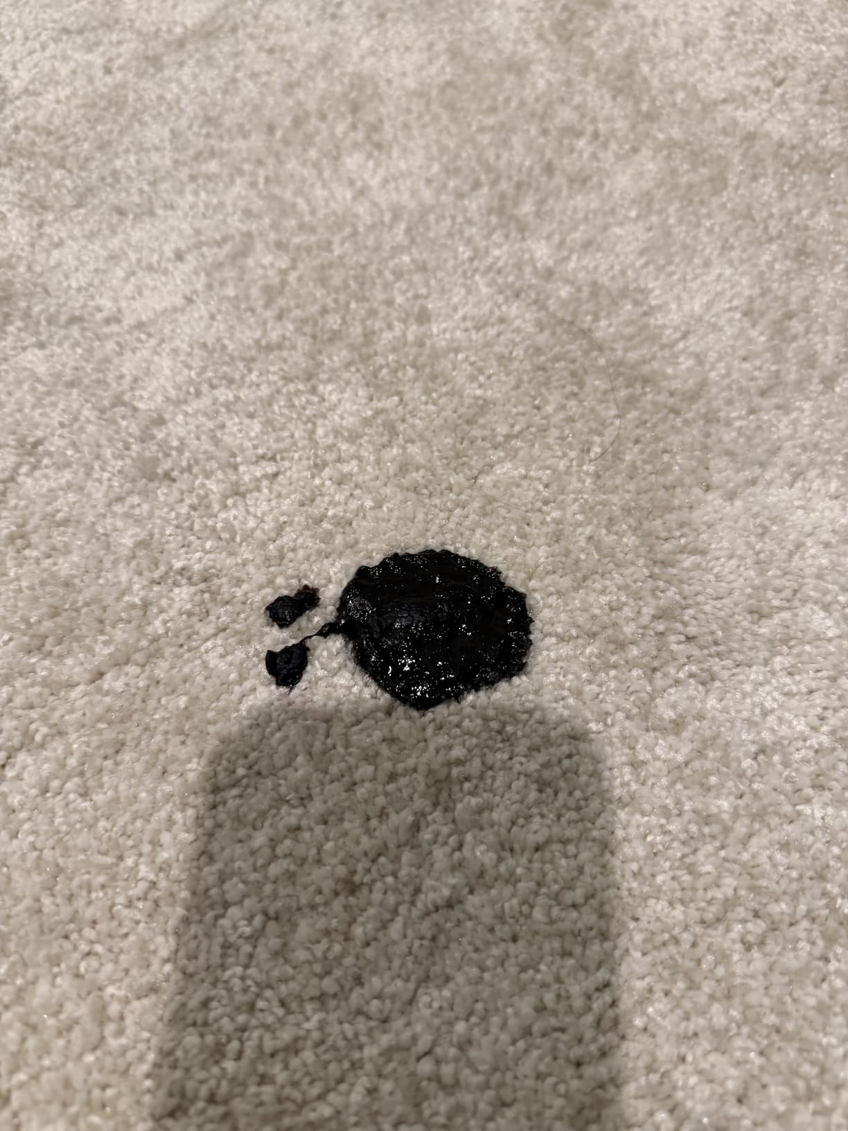 BISSELL Revolution HydroSteam Carpet Cleaner, 4123 customer photo 1