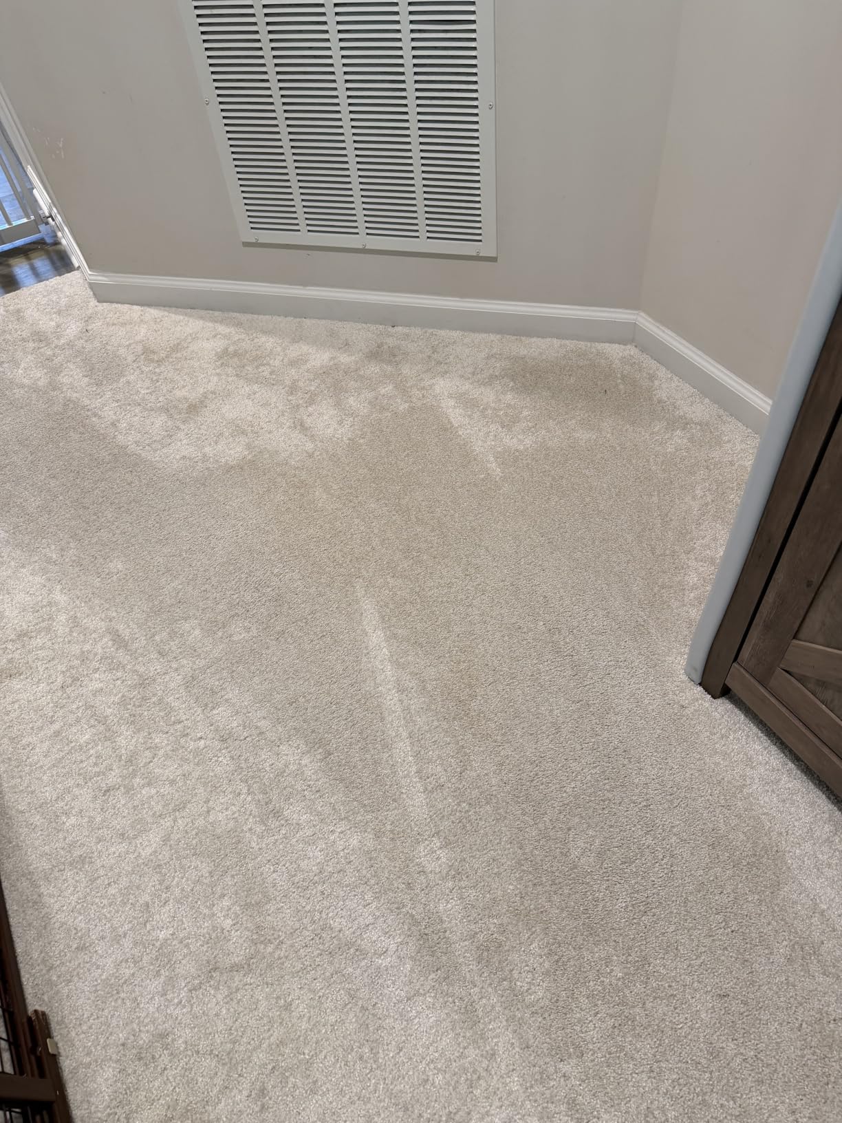 BISSELL Revolution HydroSteam Carpet Cleaner, 4123 customer photo 2