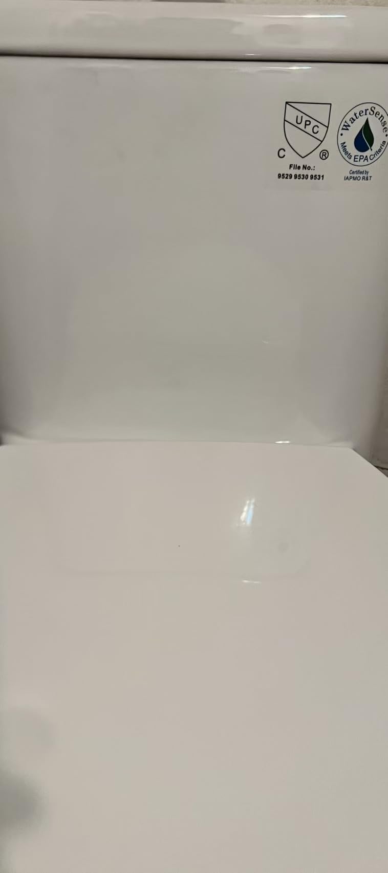 Elongated One Piece Toilet with 17.3
