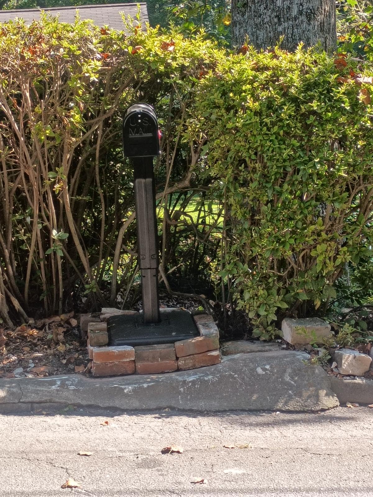 Zinovo Black Mailbox for Outside, Galvanized Steel Post Mount Mailbox, 19 x 8.7 x 6.7in Medium Capacity customer photo 1
