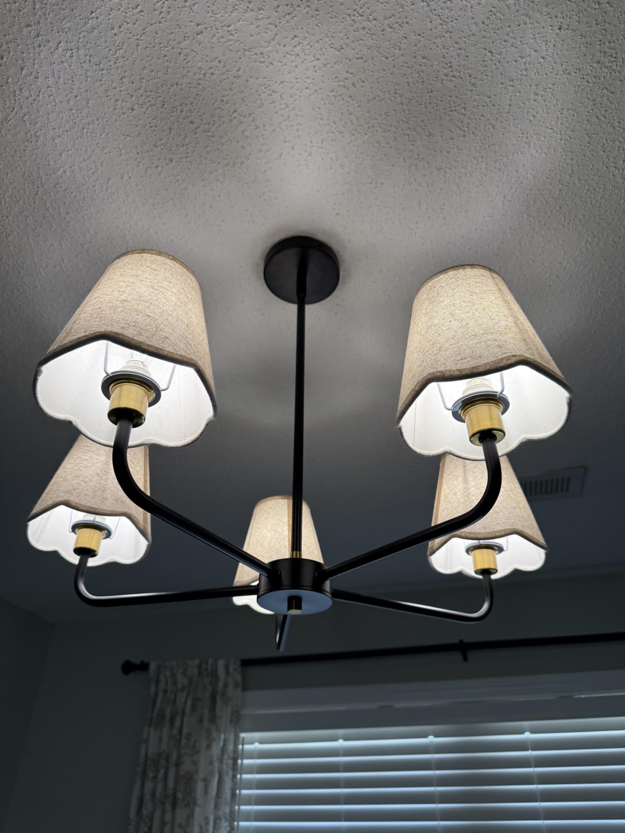 KAISITE Modern Gold Chandelier 5-Light Farmhouse Chandelier for Dining Room Industrial Dining Kitchen Light Fixture Over Table Ceiling Chandelier customer photo 1