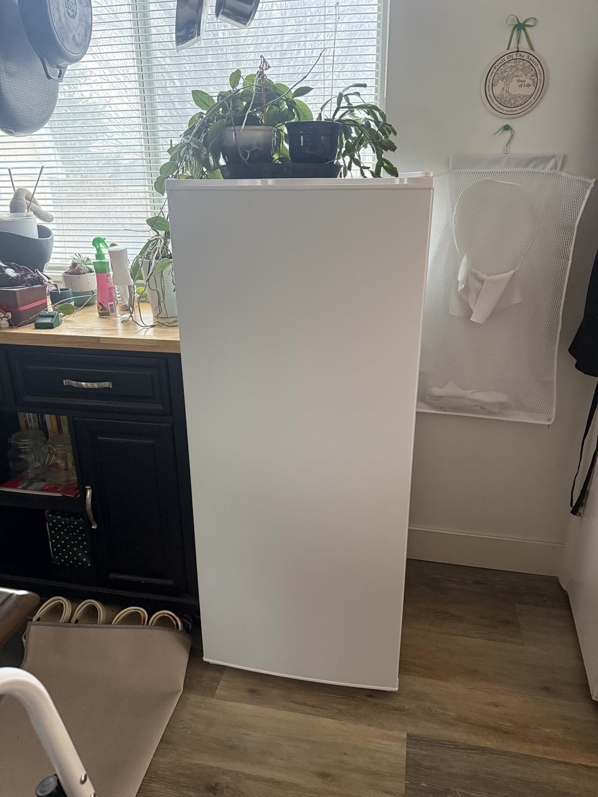 Antarctic Star 6.0 Cu.Ft Upright Freezer, Compact Stand Up Freezer with 7-Temp Control, Removable Glass Shelves, Adjustable Legs & Reversible Door, for Home, Apartment, Dorm, White customer photo 1