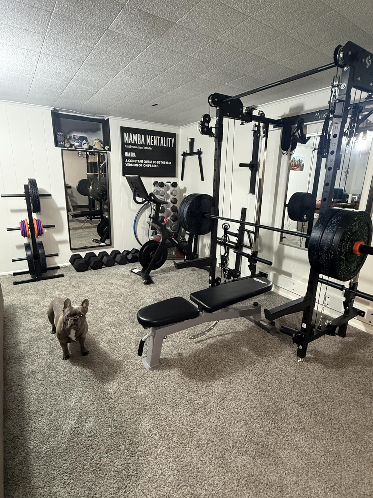 Mikolo Folding Squat Rack, Wall Mounted Power Rack with Cable Crossover Machine & LAT Pull Down, Functional Trainer with 5 Adjustable Function Modes, Home Gym Package customer photo 1