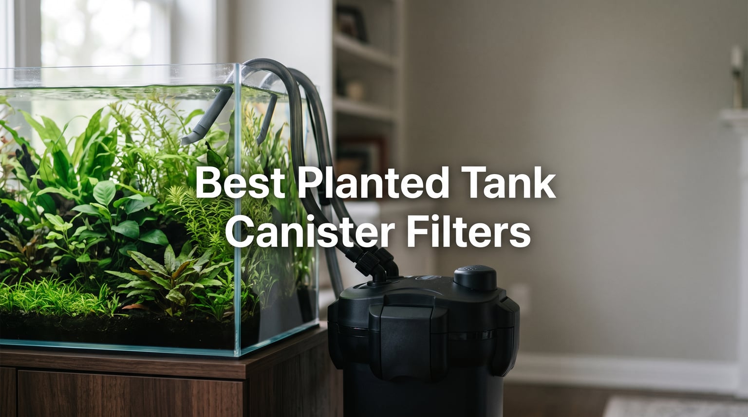 Best Planted Tank Canister Filters