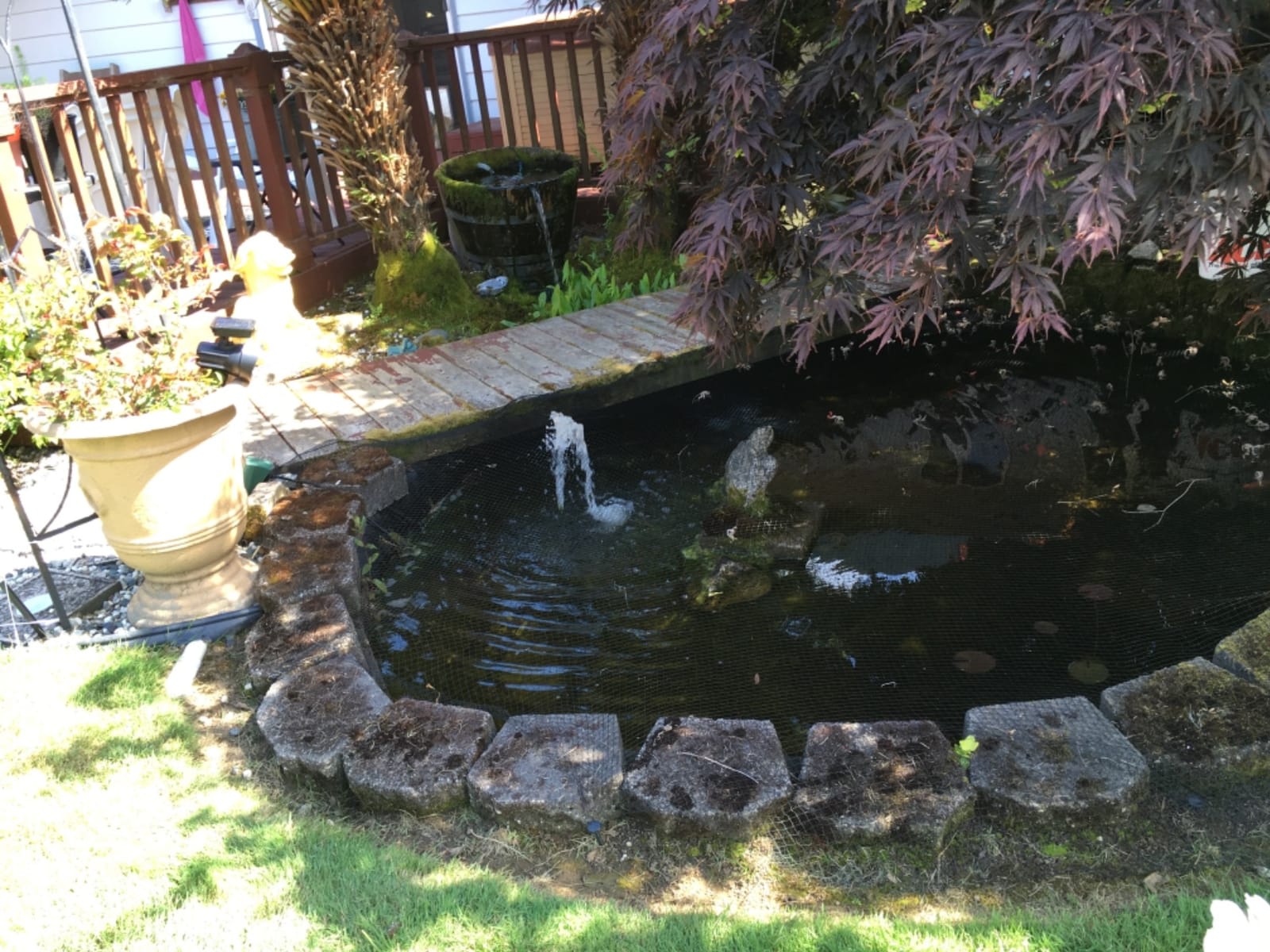 Danner Manufacturing Pondmaster 700 GPH Pond-Mag Magnetic Drive Water Pump, 02527 customer photo 2