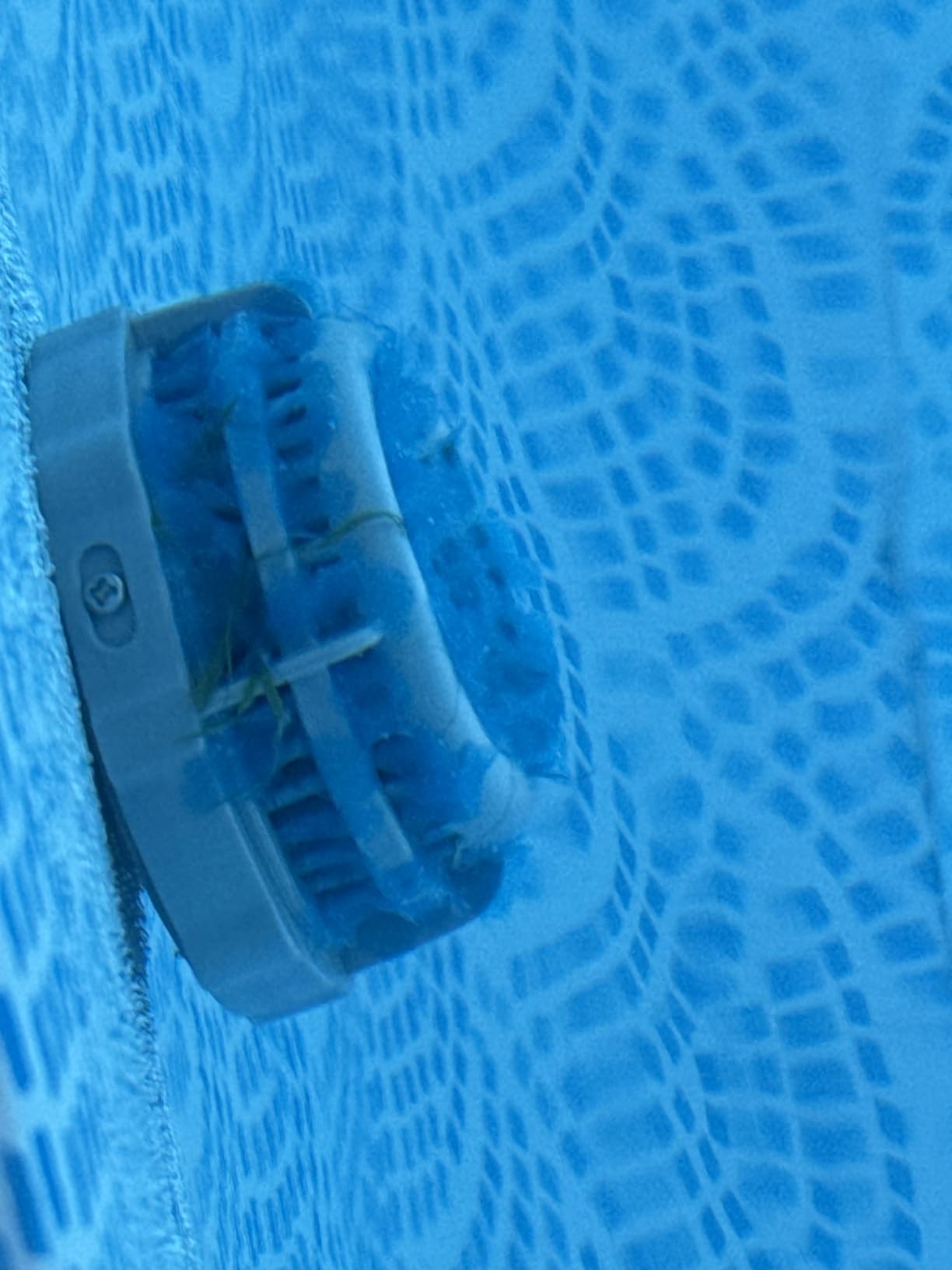 INTEX 28015E Solar Pool Cover: for 18ft Round Easy Set and Metal Frame Pools - Insulates Pool Water - Reduces Water Evaporation - Keeps Debris Out - Reduces Chemical Consumption customer photo 2