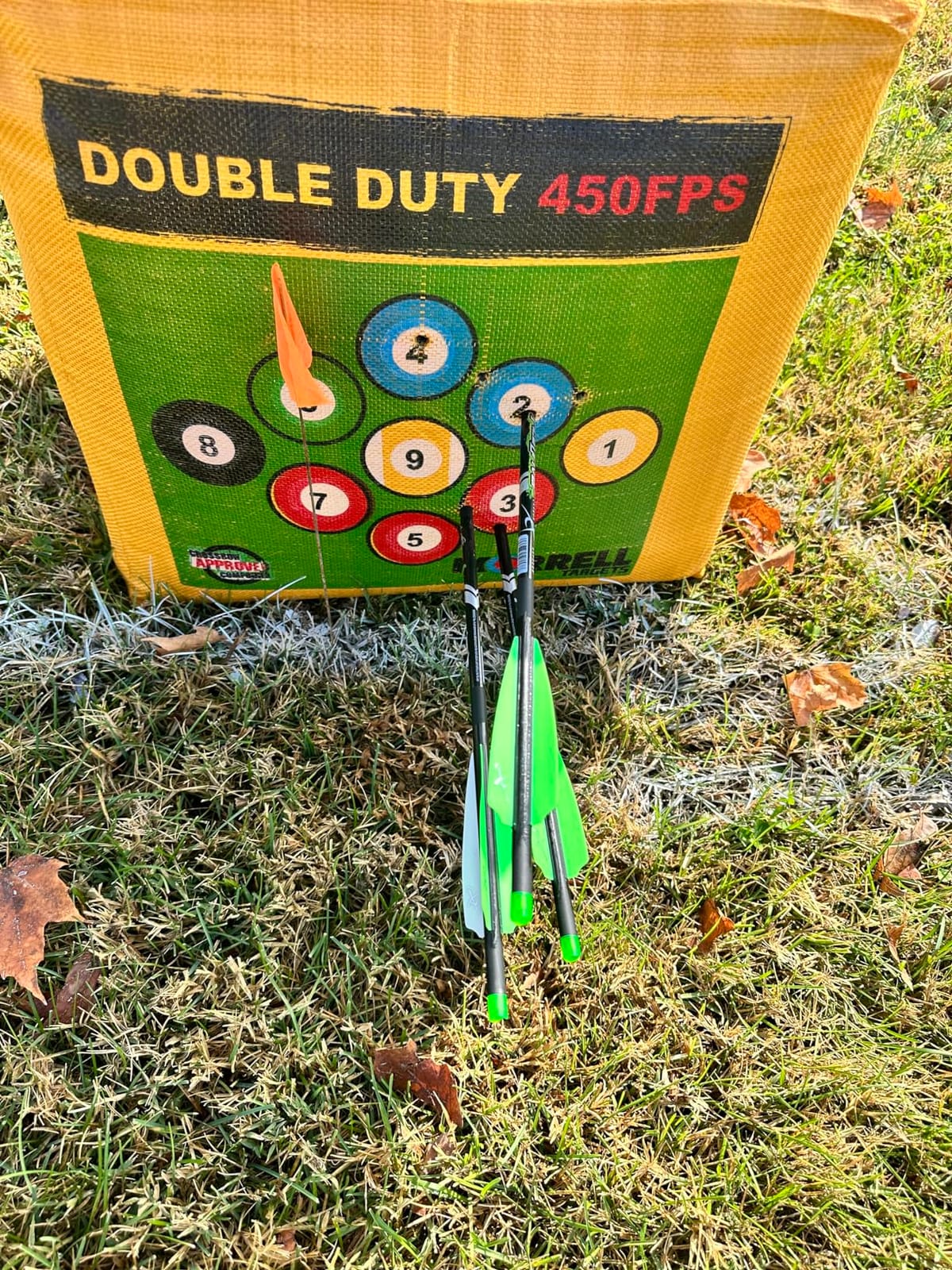 Morrell Double Duty 450 FPS Cube Field Point Archery Bag Target, Yellow customer photo 2