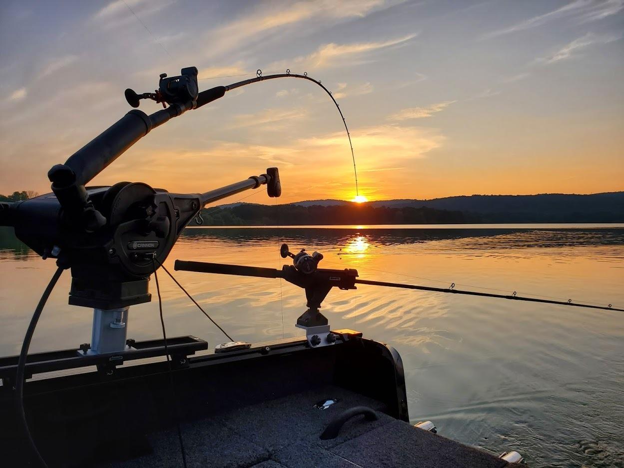 Cannon Magnum Series Electric Downrigger customer photo 1