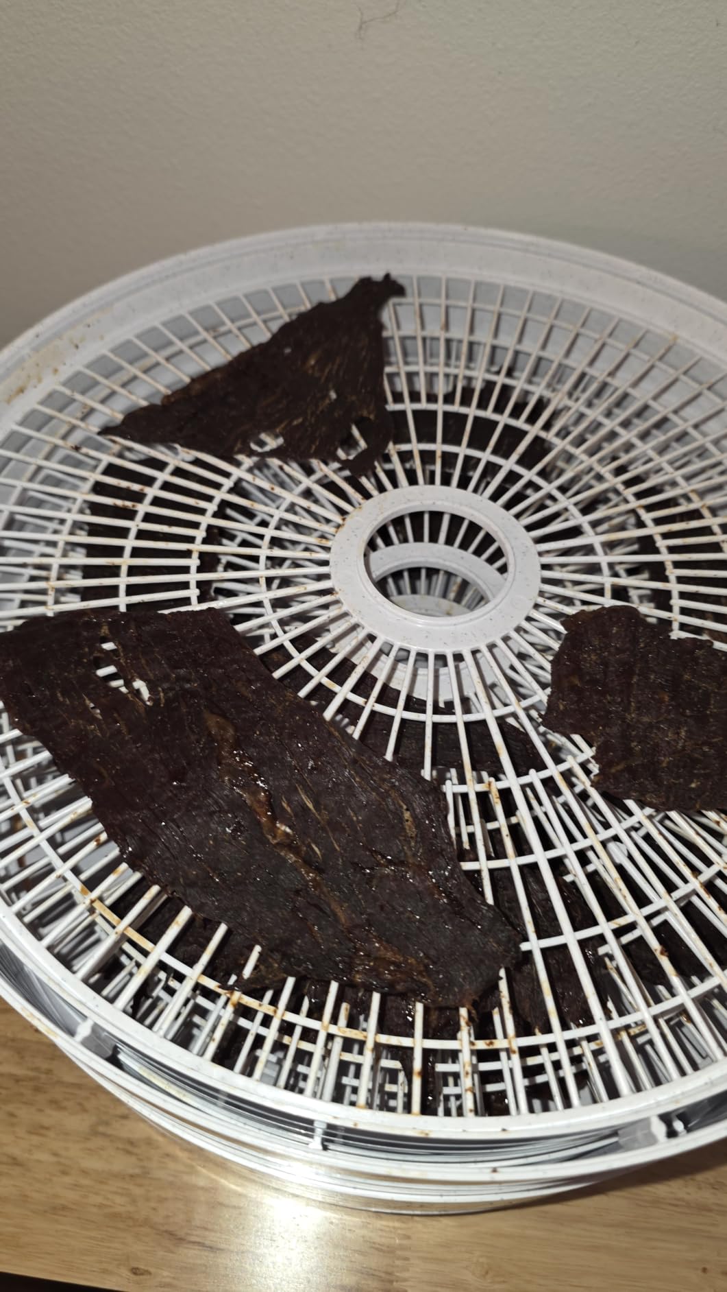 NESCO FD-75A Snackmaster Pro Food Dehydrator, For Snacks, Fruit, Beef Jerky, Gray customer photo 1