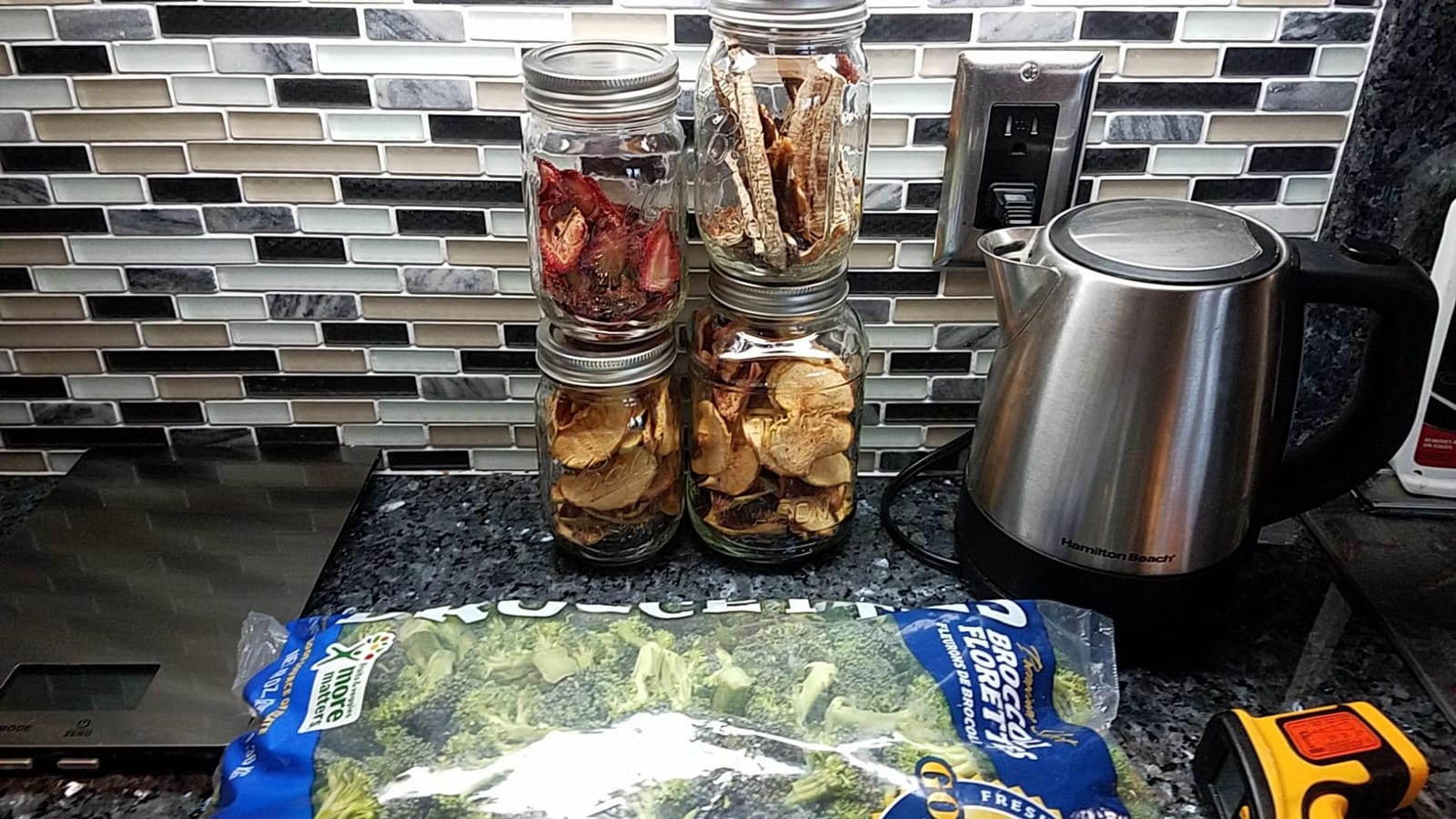 NESCO FD-75A Snackmaster Pro Food Dehydrator, For Snacks, Fruit, Beef Jerky, Gray customer photo 2