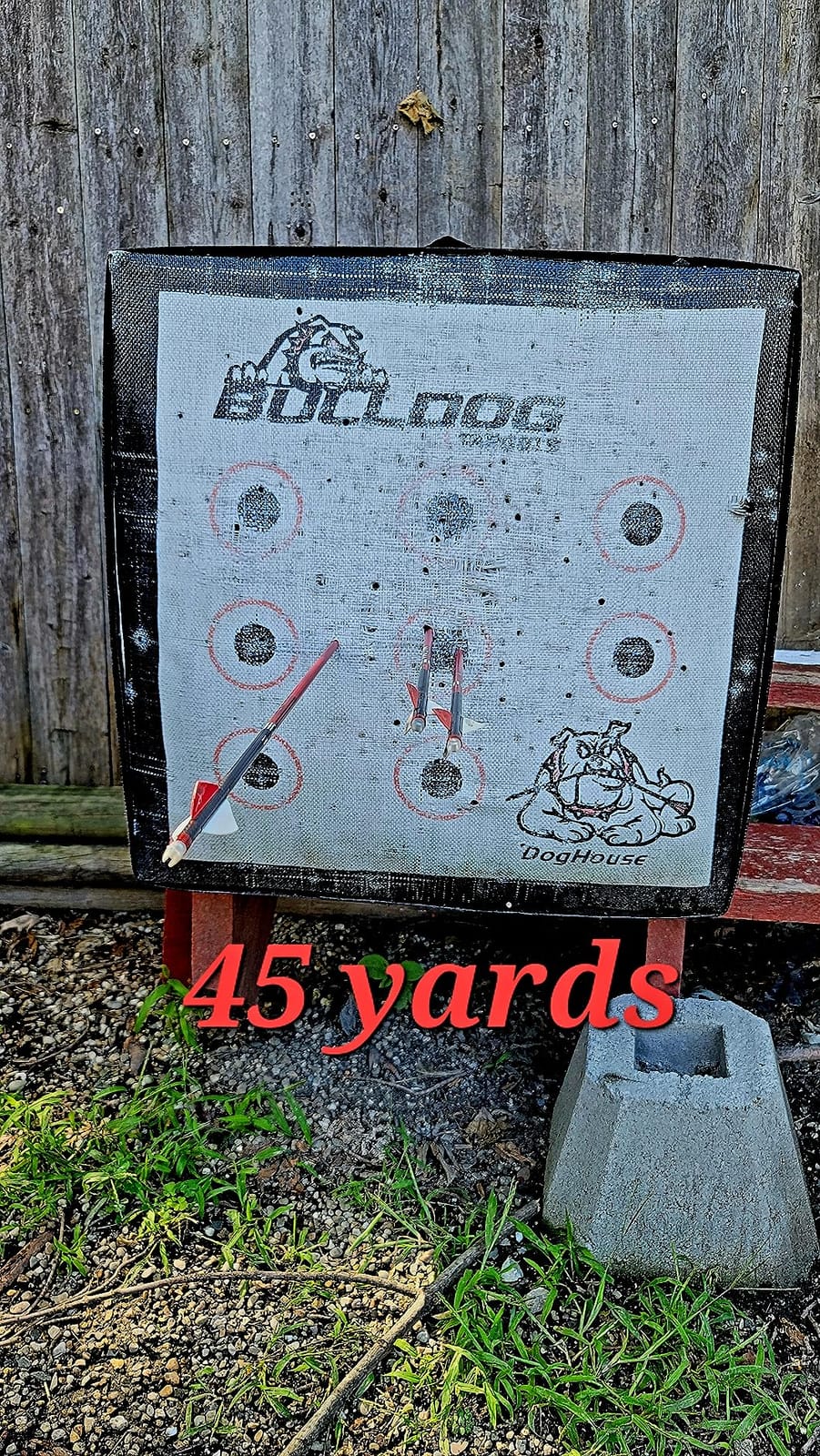 Carbon Express Maxima RED Fletched Carbon Arrows with Dynamic Spine Control and Blazer Vanes, 6-Pack, Available in 250(.400 Spine) & 350(.350 Spine) customer photo 1