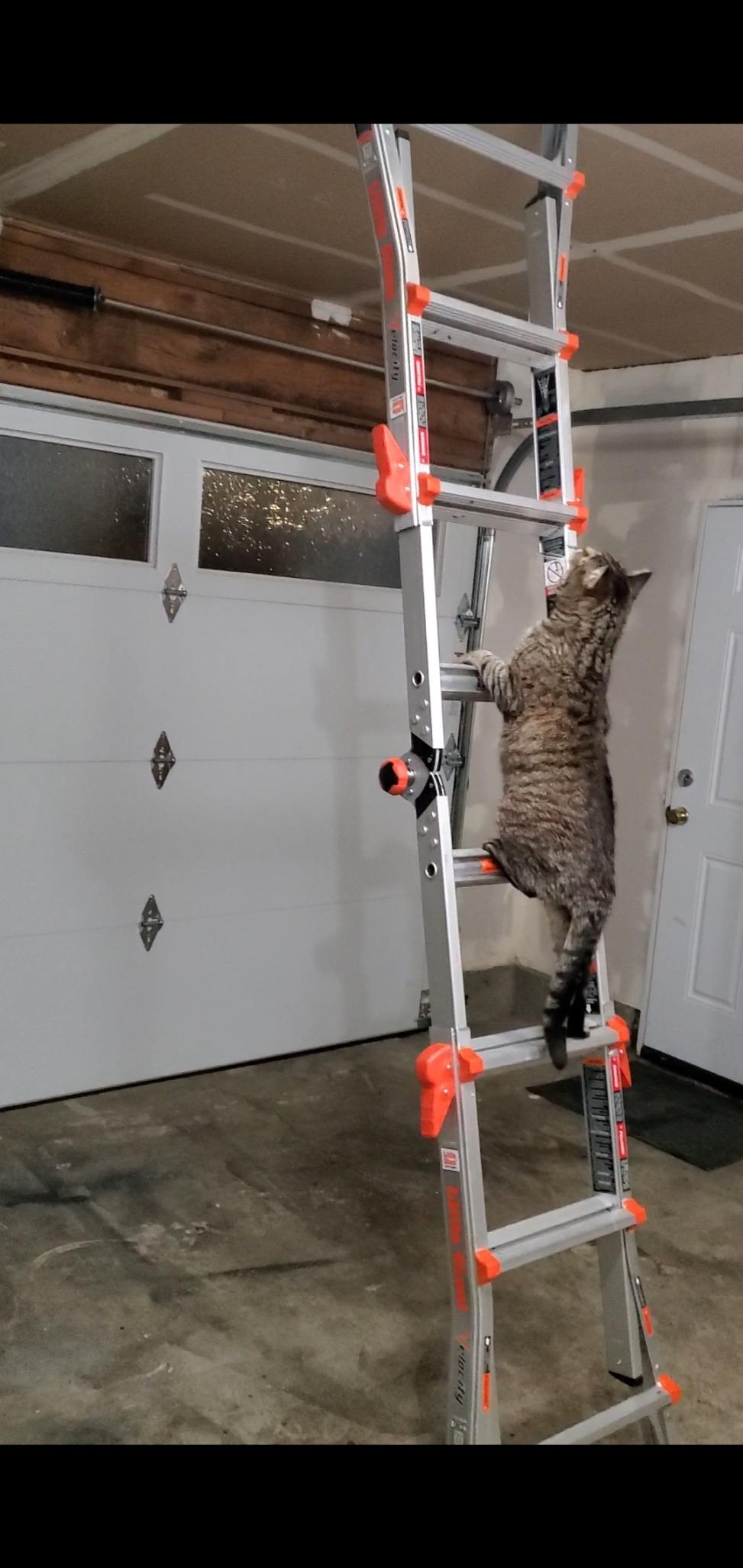 Little Giant Velocity, Aluminum Ladder, 14 ft Reach, 15413-001 | Telescoping Multi-Position Ladder with Extension, A-Frame, 90-Degree & Trestle Modes, 300 lbs. Rating customer photo 2