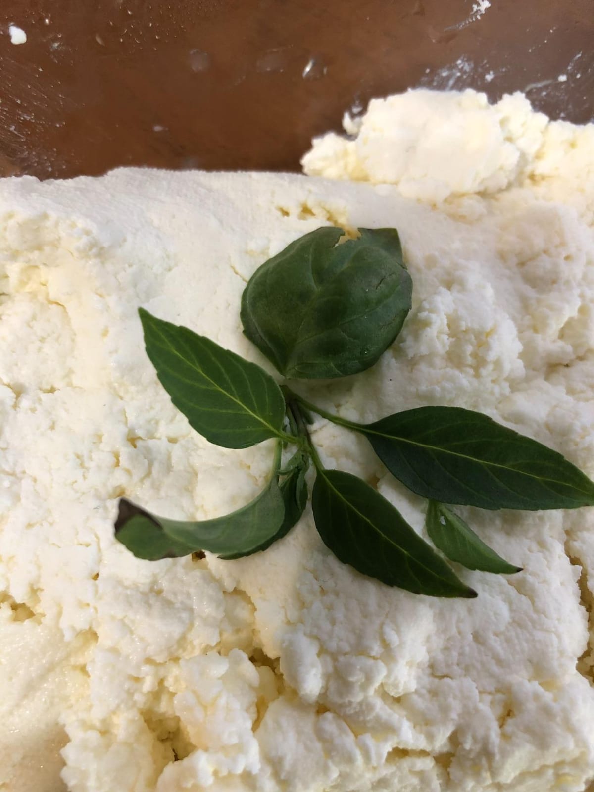 Basic Beginner Cheese Making Kit - Mozzarella, Burrata, Burricota, Chevre, Ricotta, Mascarpone & Butter! customer photo 1