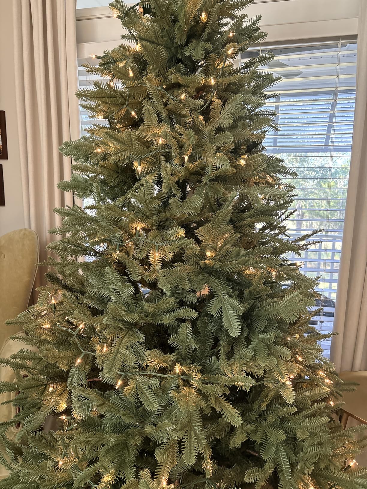 Balsam Hill BH Balsam Fir Full Tree - Realistic Artificial Christmas Tree with Premium Stand & Easy Assembly for Indoor Holiday Decorating, Unlit, 7.5ft customer photo 2