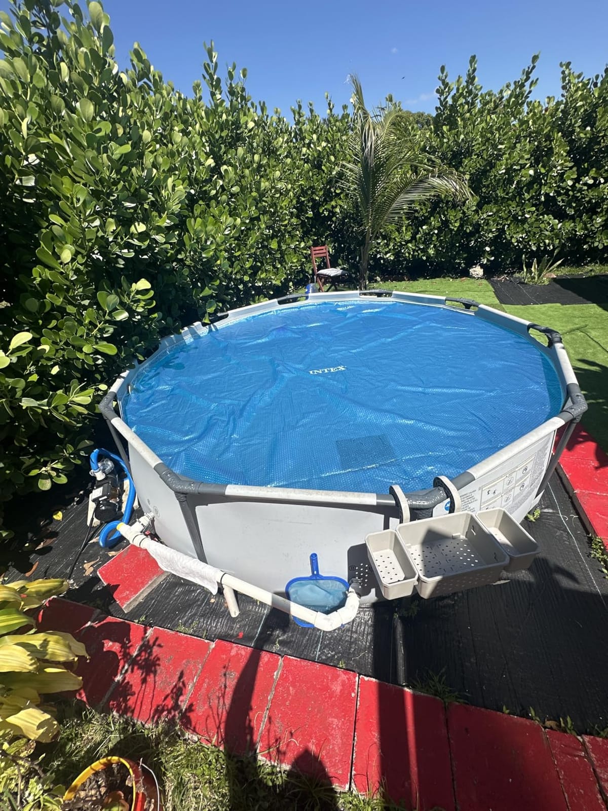 INTEX 28011E Solar Pool Cover: for 10ft Round Easy Set and Metal Frame Pools - Insulates Pool Water - Reduces Water Evaporation - Keeps Debris Out - Reduces Chemical Consumption customer photo 1