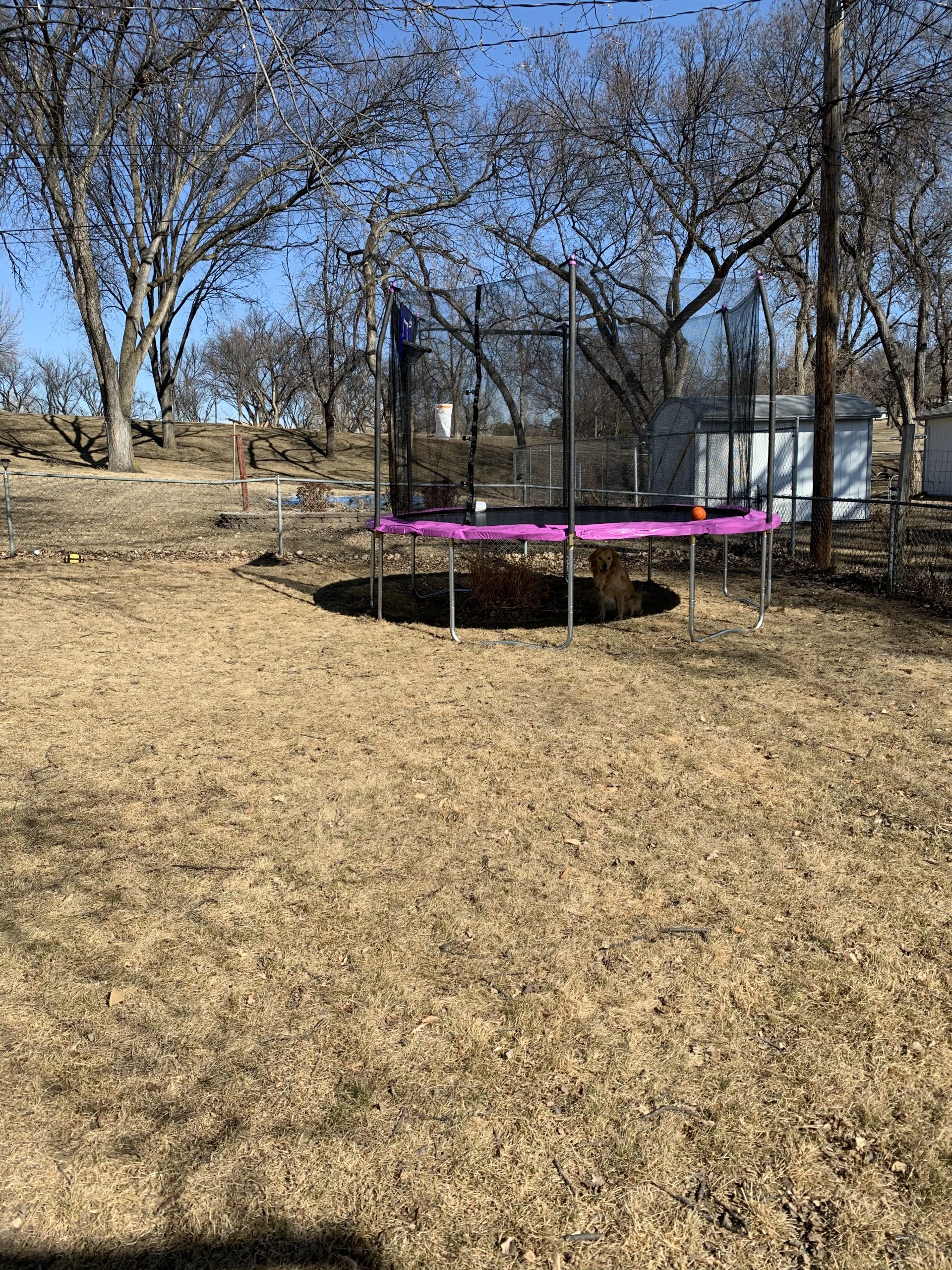 Skywalker Trampoline Outdoor Jump N' Dunk Round Trampoline with Net, Trampoline Mat, and Basketball Hoop customer photo 1